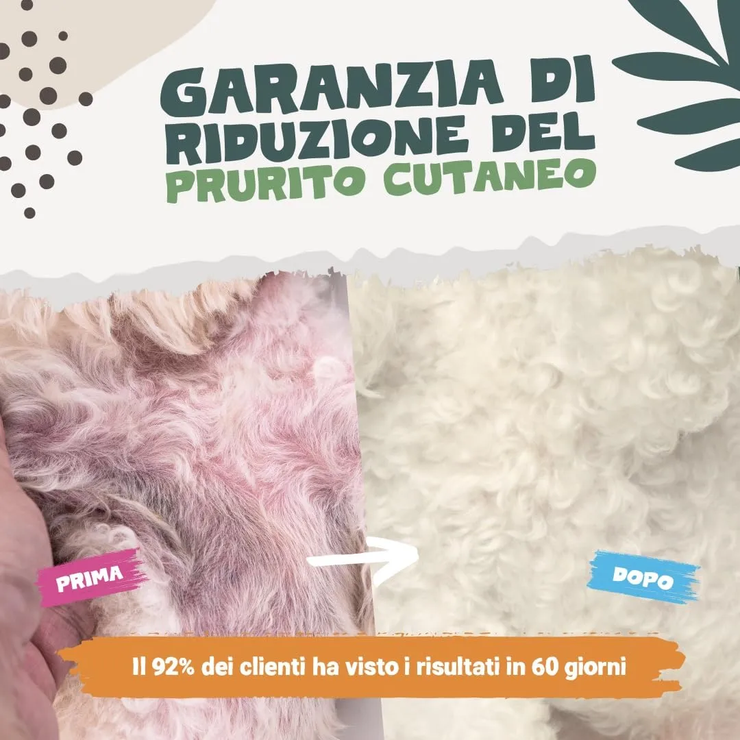 Pets Purest Olio di Salmone Scozzese per Cani e Gatti, Integratore Omega 3 6 9, 500ml - immagine 2