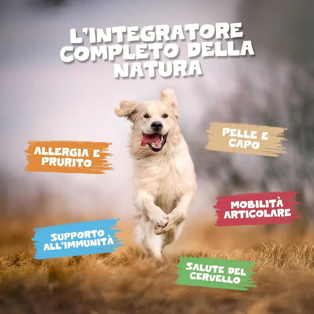 Pets Purest Olio di Salmone Scozzese per Cani e Gatti, Integratore Omega 3 6 9, 500ml - immagine 5