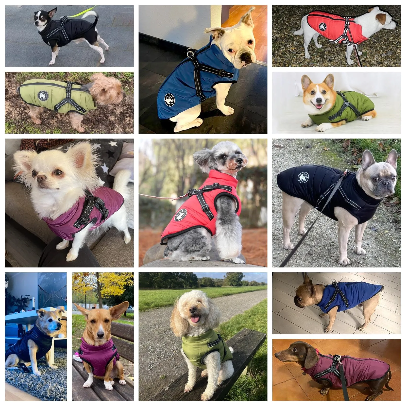 LUOWAN Cappotto Impermeabile per Cani con Imbracatura, Design a Strisce Riflettenti, Viola, Taglia 12 - immagine 6