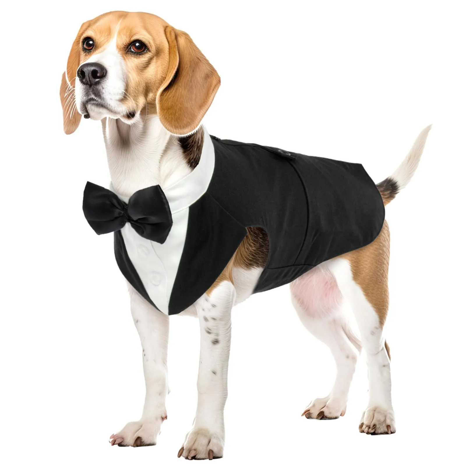 PUMYPOREITY Abito da smoking per cani in cotone con bandana staccabile, Nero, L - immagine 1
