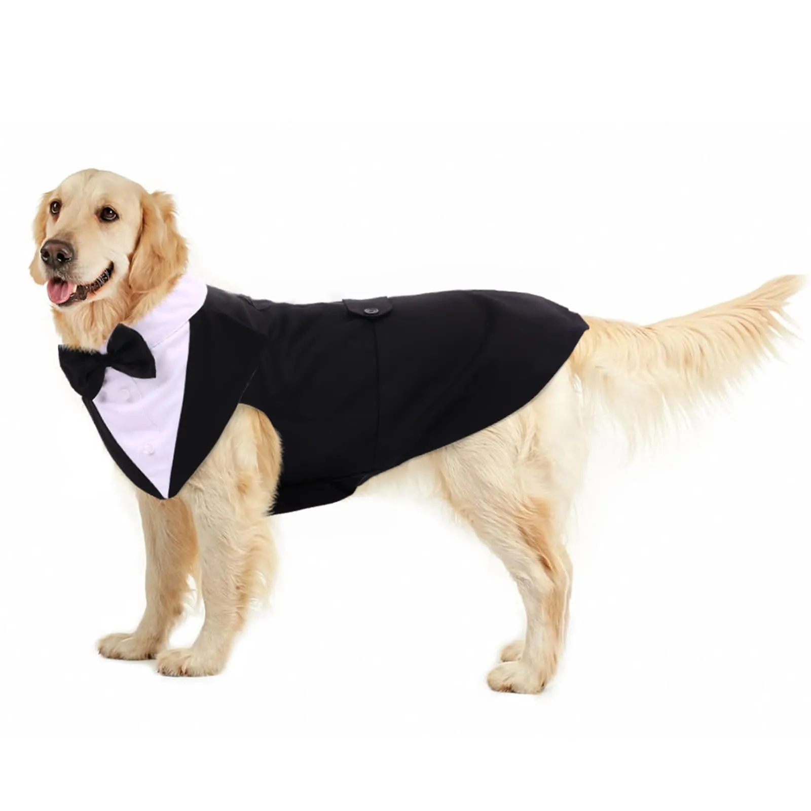PUMYPOREITY Vestito da sposa e costume formale per cani e gatti con bandana, nero, XXL - immagine 1
