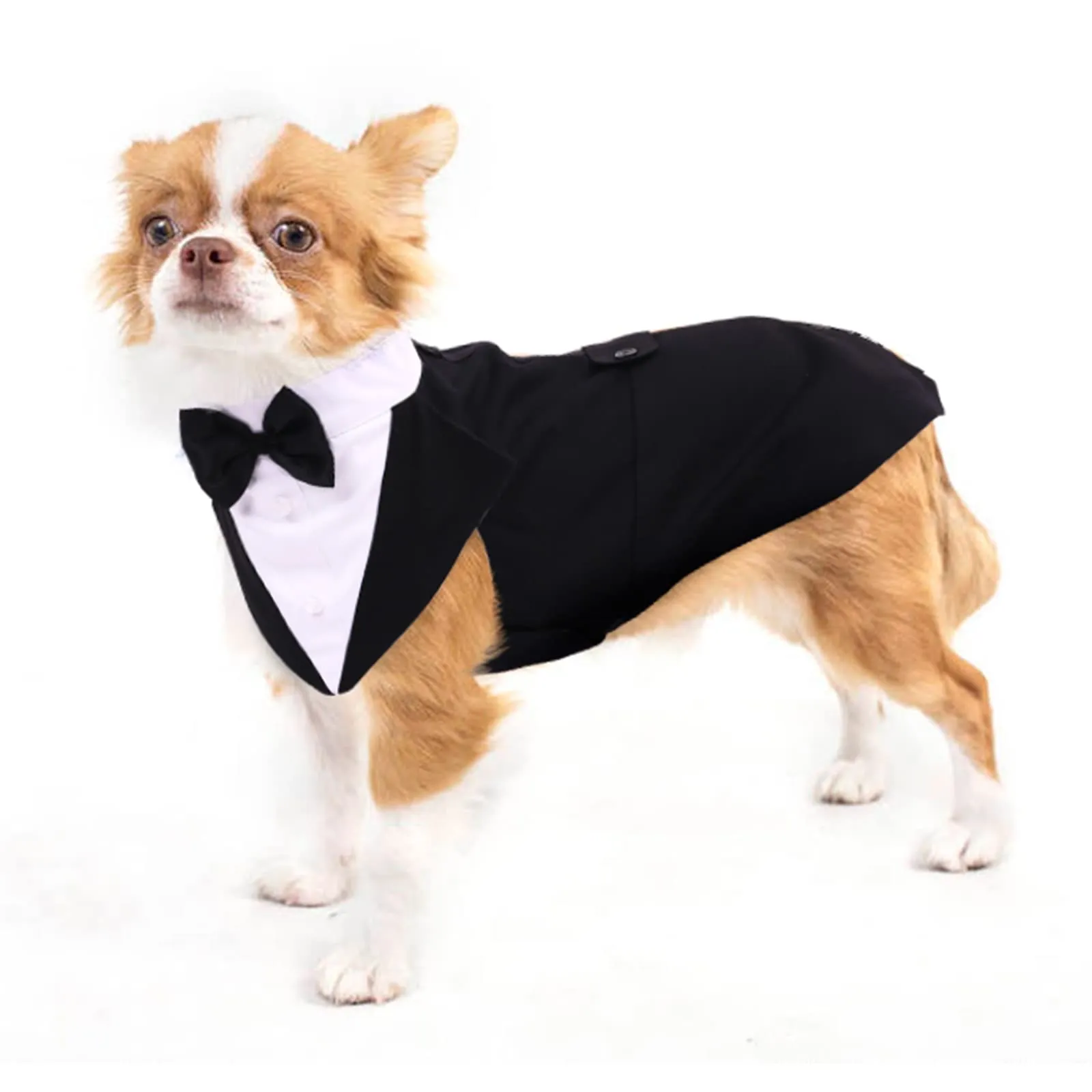 PUMYPOREITY Smoking per cani di piccola taglia, Nero, S - immagine 1