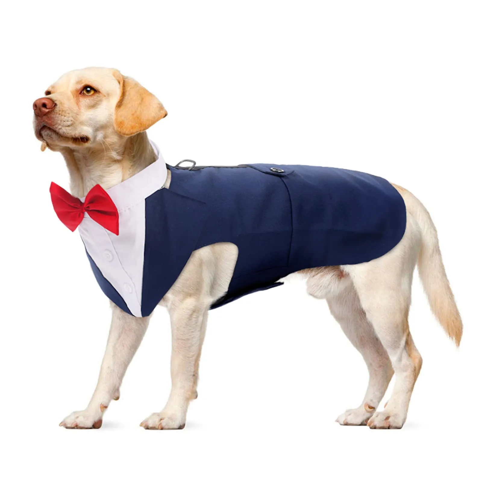 PUMYPOREITY Abito Smoking e Bandana per Cani, Completo Elegante da Cerimonia (Blu, XL) - immagine 1