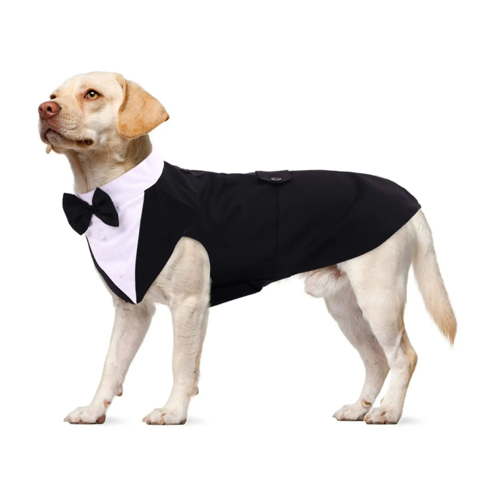 PUMYPOREITY Smoking Formale per Cani con Bandana, Nero, XL - immagine 1