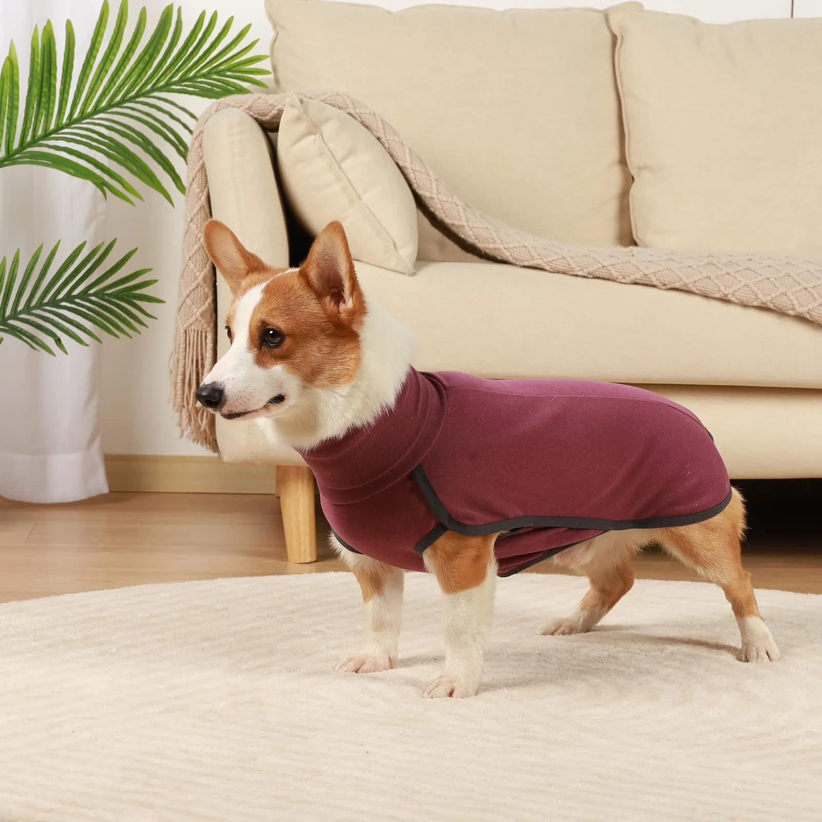 Hjyokuso Maglione in pile per cani (Rosso, M) - immagine 6