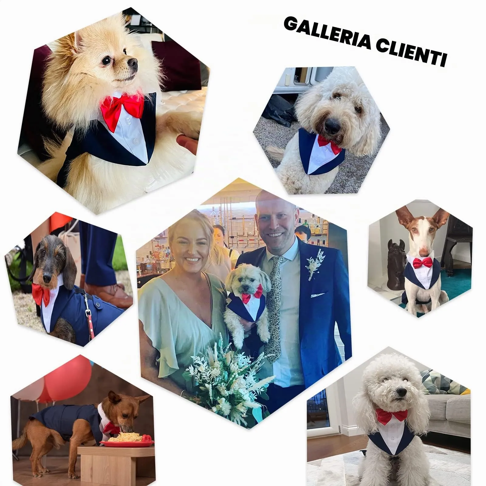 PUMYPOREITY Vestito in Cotone per Cani Smoking Elegante con Papillon e Bandana, Blu, S - immagine 7