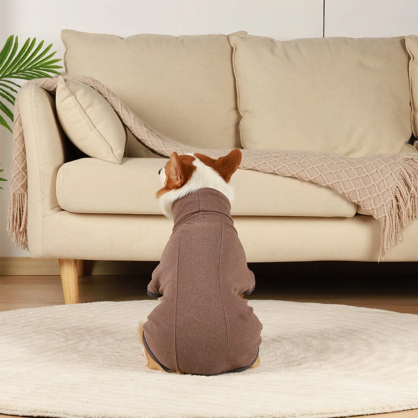 Hjyokuso Maglione in pile per cani, Marrone, M - immagine 6