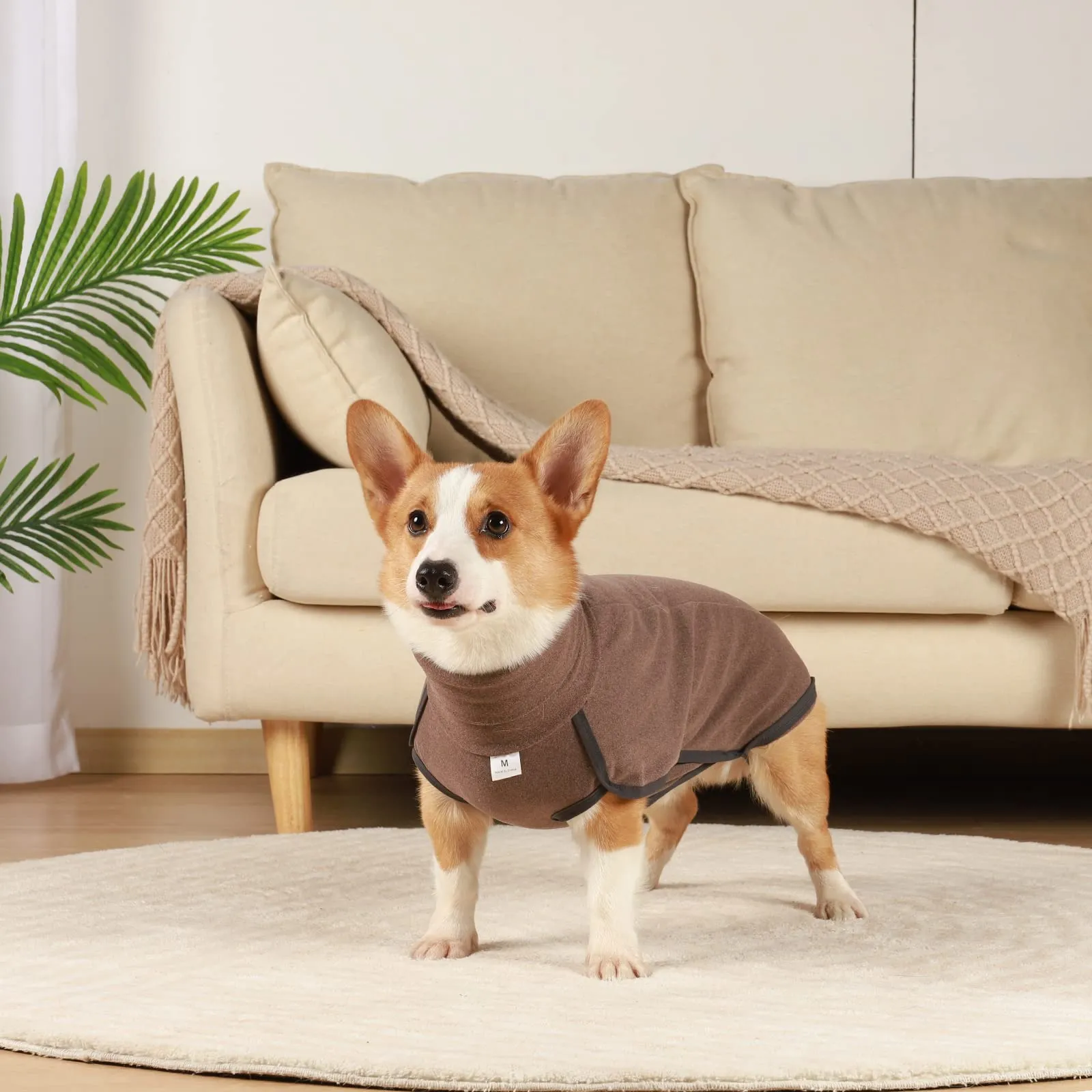 Hjyokuso Cappotto in Pile per Cani - Marrone XS - immagine 7