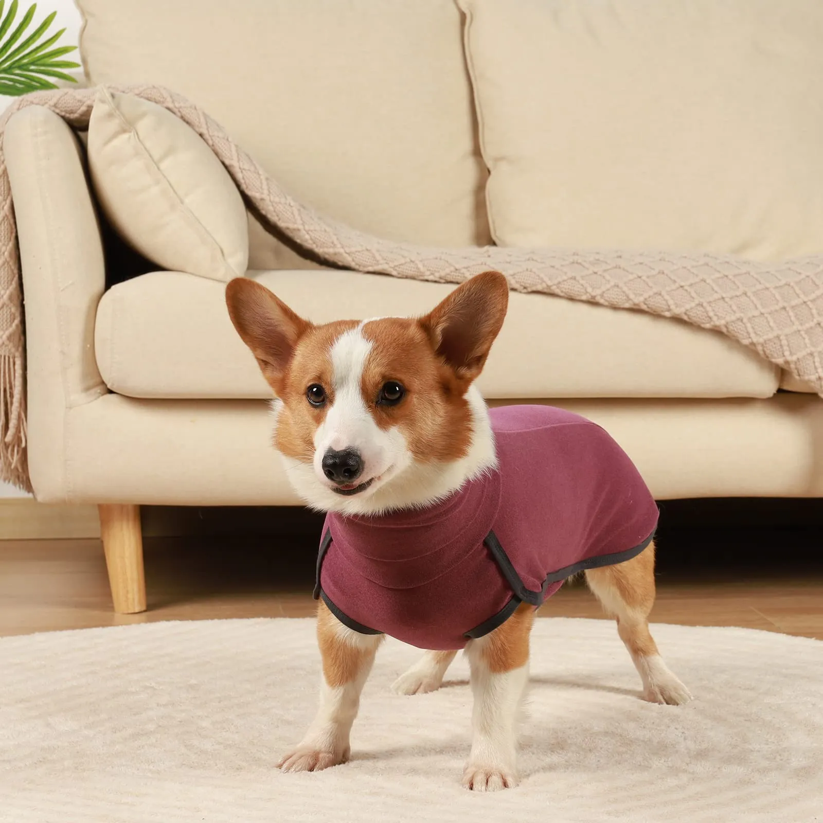 Hjyokuso Cappotto in Pile per Cane - Rosso Scuro 2XL - immagine 5