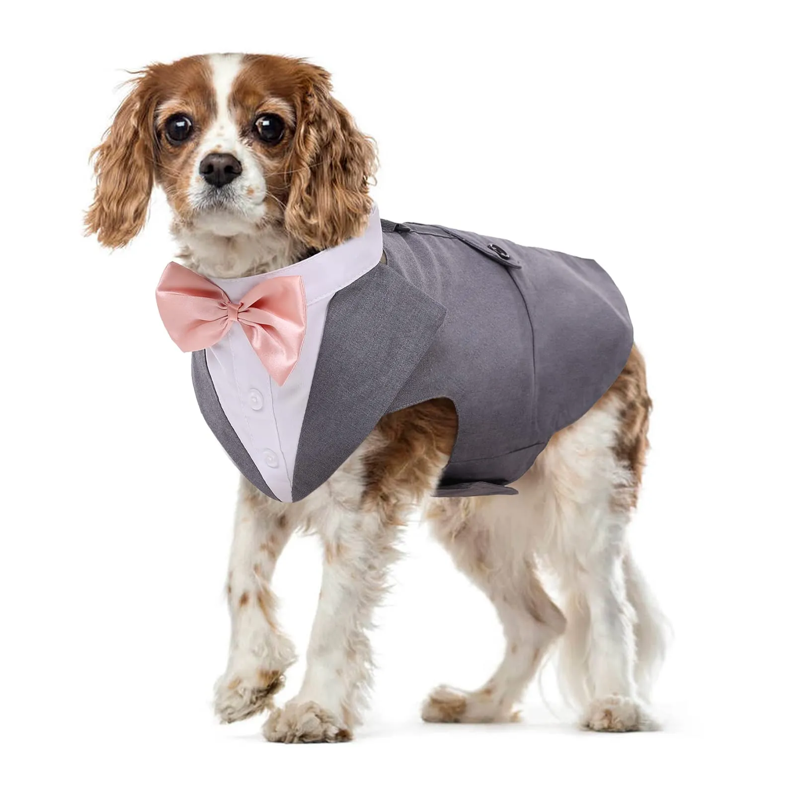 PUMYPOREITY Set Smoking e Bandana per Cani, Abbigliamento Formale per Cani di Taglia Piccola, Grigio, Taglia M - immagine 1