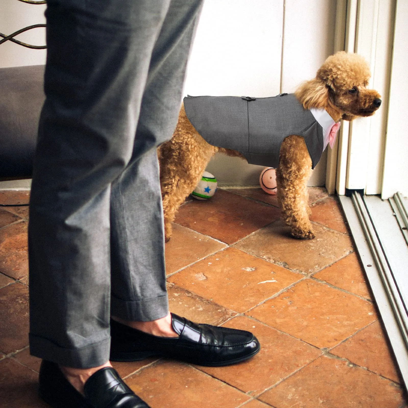 PUMYPOREITY Set Smoking e Bandana per Cani, Abbigliamento Formale per Cani di Taglia Piccola, Grigio, Taglia M - immagine 5