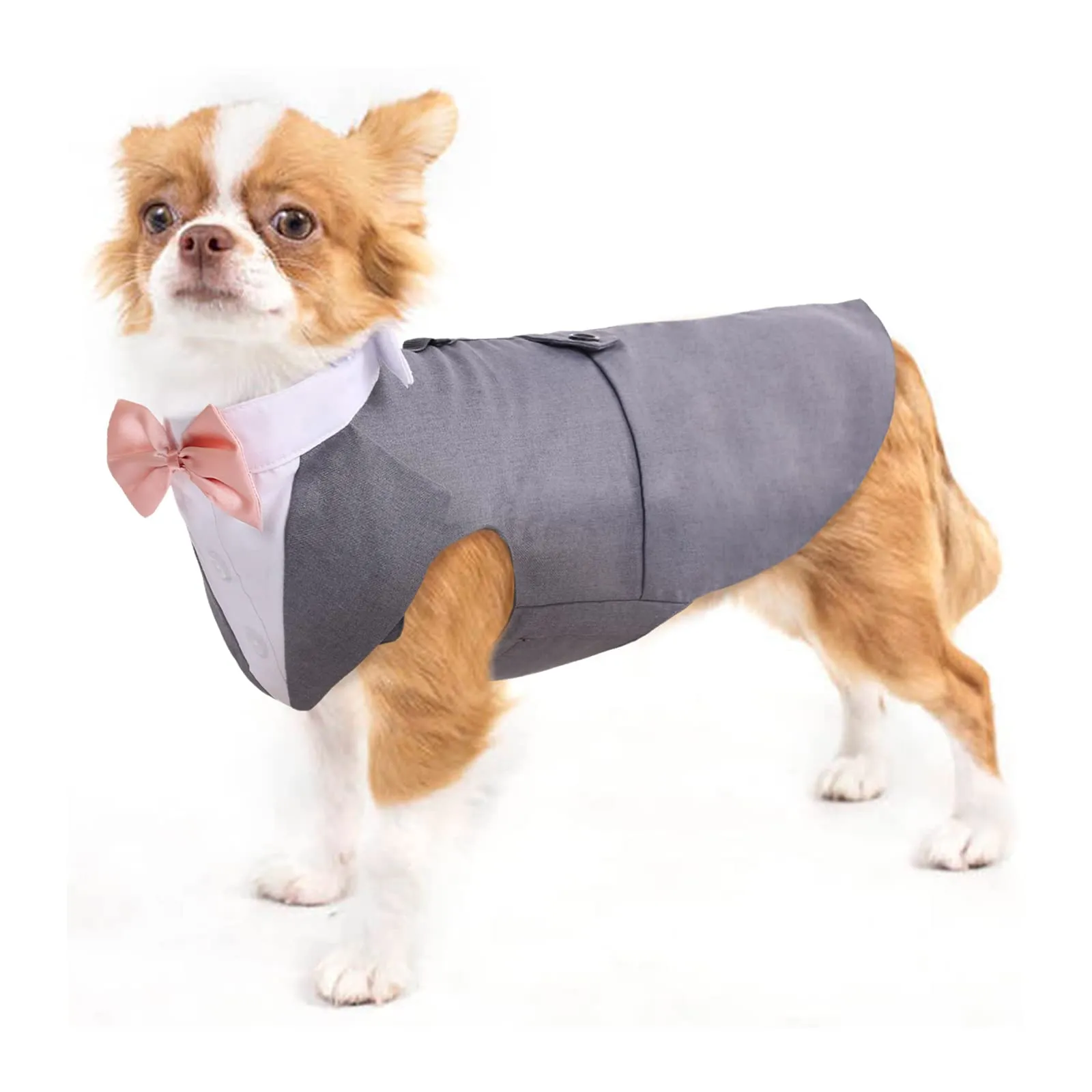 PUMYPOREITY Set Smoking per Cani con Bandana, Abbigliamento Formale per Cani di Taglia Piccola, Grigio, S - immagine 1