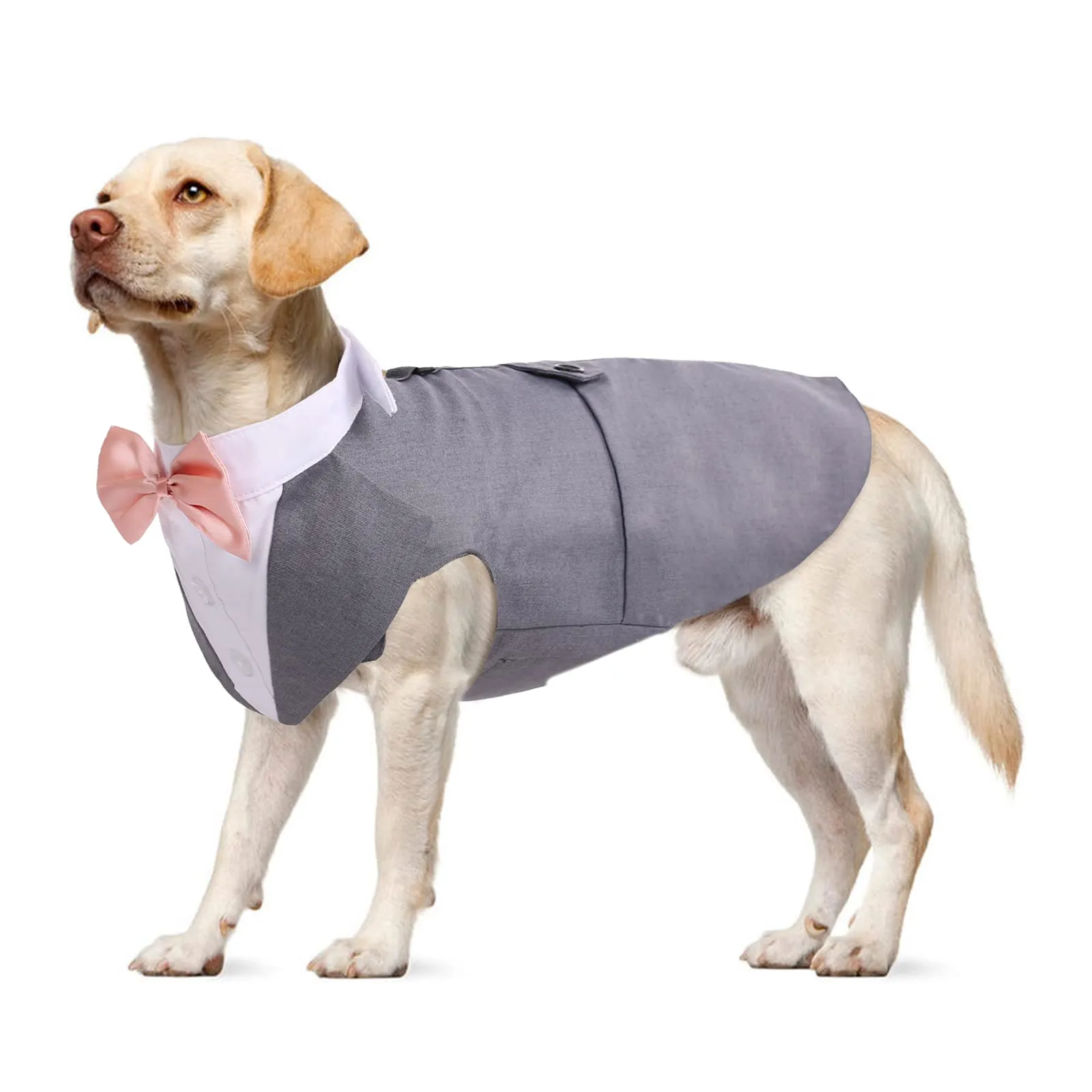 PUMYPOREITY Set Abito e Bandana Smoking con Papillon per Cani, Grigio, XL - immagine 1