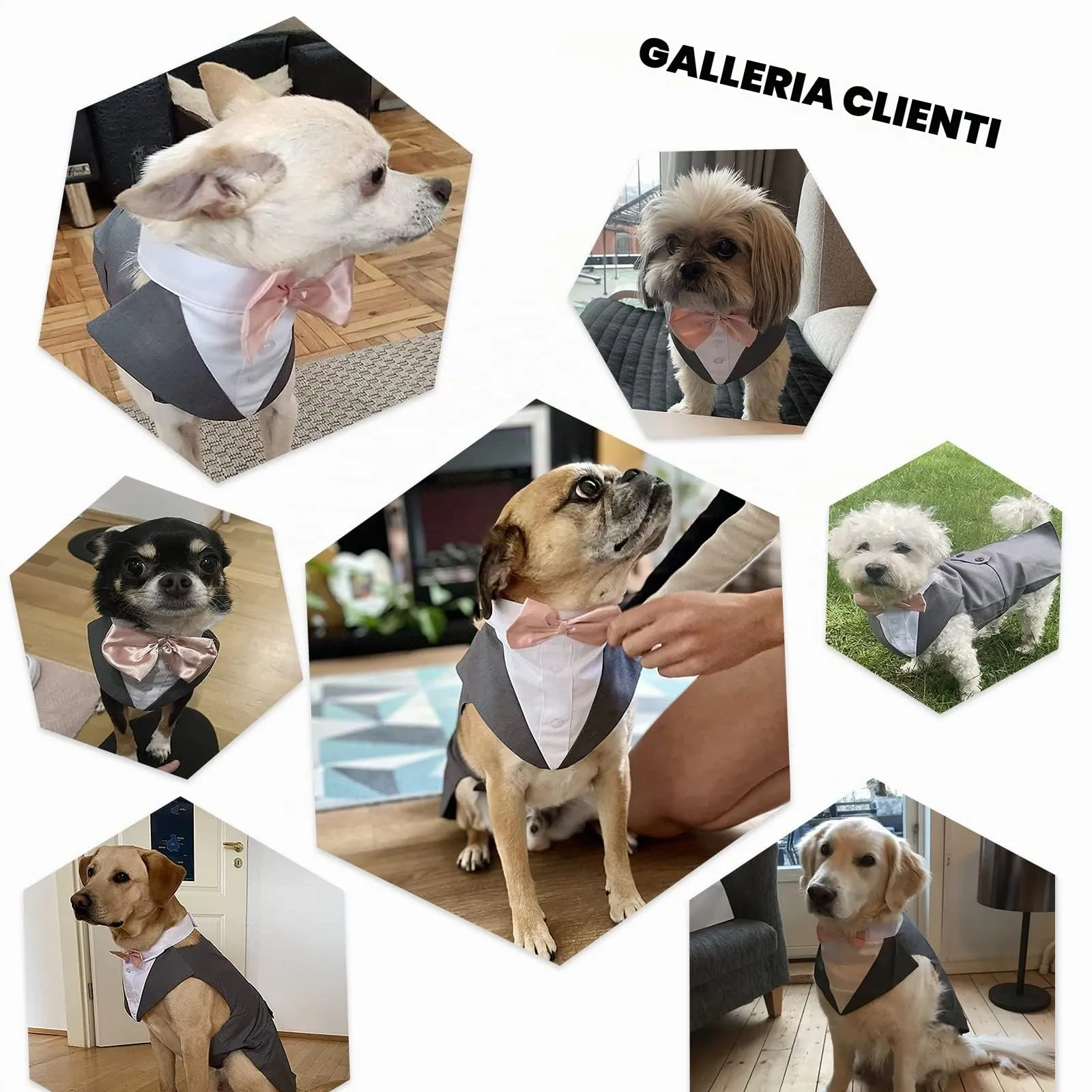 PUMYPOREITY Set Abito e Bandana Smoking con Papillon per Cani, Grigio, XL - immagine 7