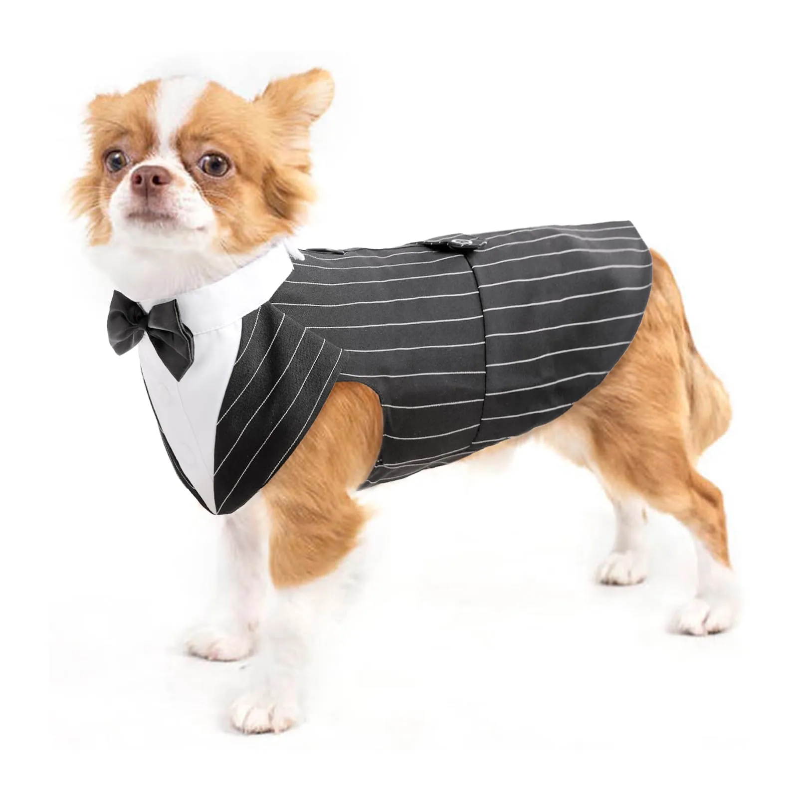 PUMYPOREITY Smoking Elegante per Cani Piccola Taglia - Vestito Matrimonio Nero a Righe, Taglia S - immagine 1