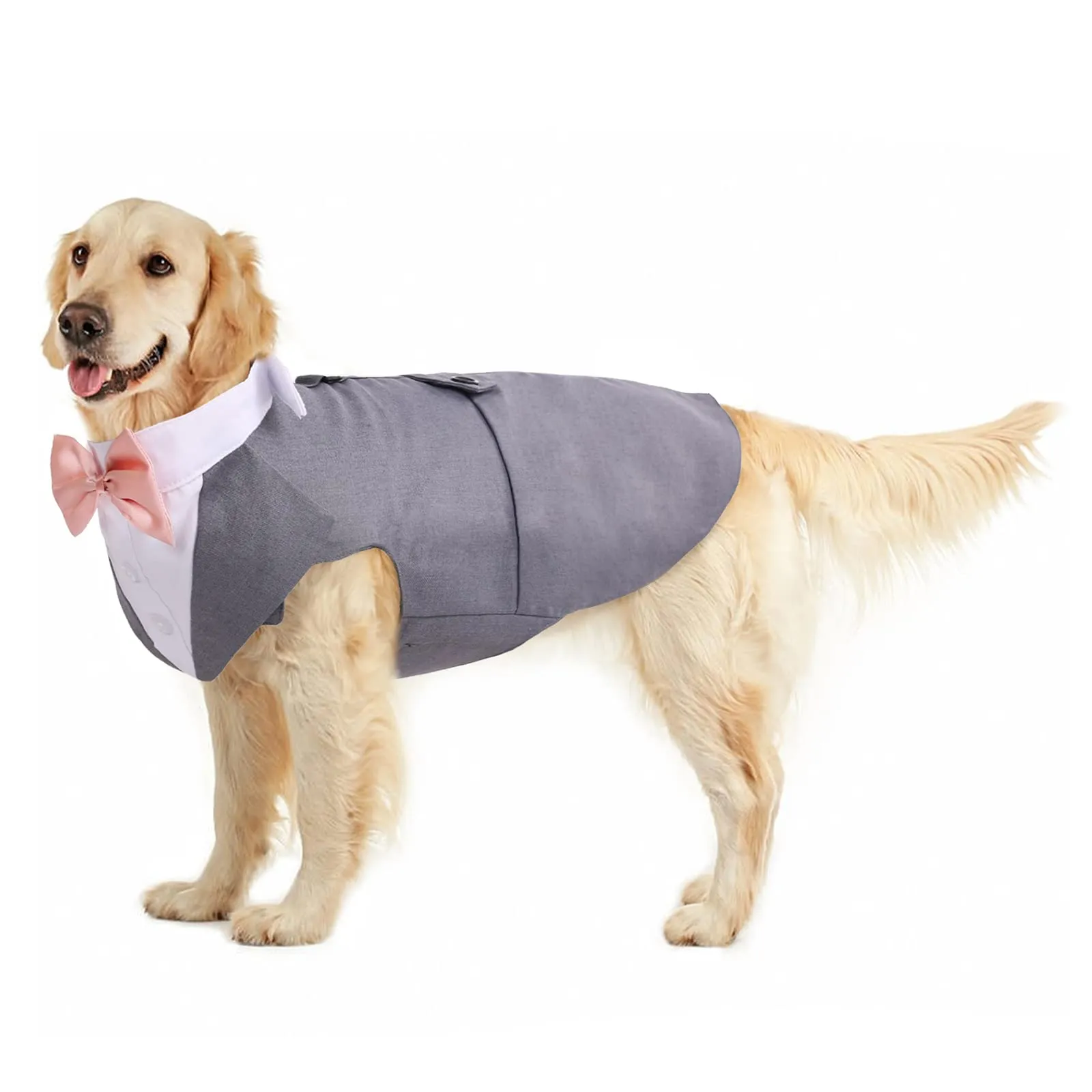 PUMYPOREITY Vestito in Cotone per Cani Smoking Elegante con Papillon, Grigio, XXL - immagine 1
