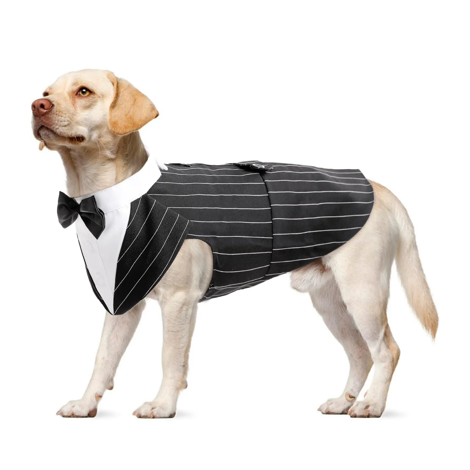 PUMYPOREITY Smoking per Cani, Vestito Cerimonia Elegante a Righe Nero, XL - immagine 1
