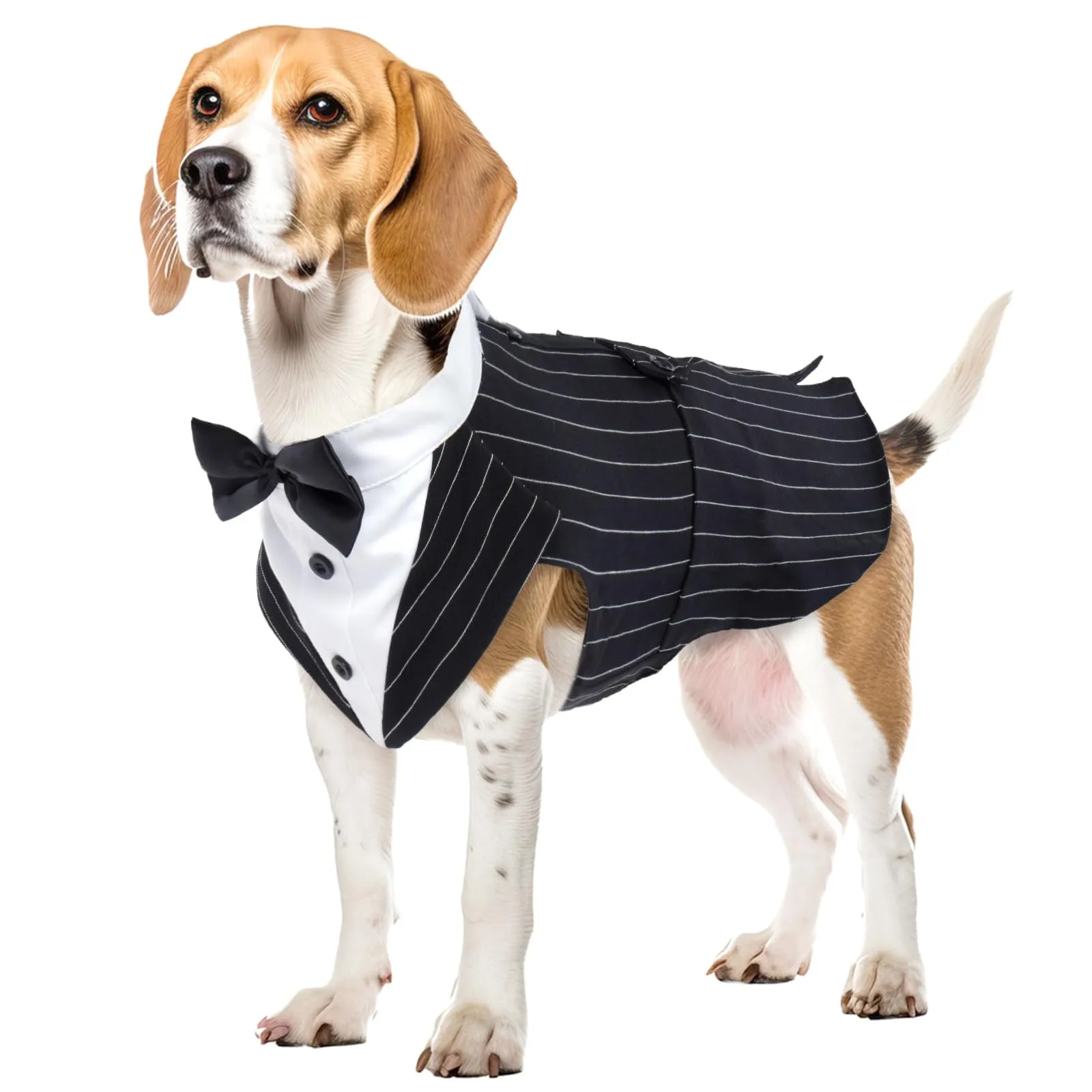 PUMYPOREITY Smoking per Cani, Vestito Cerimonia Elegante Righe Nero, L - immagine 1