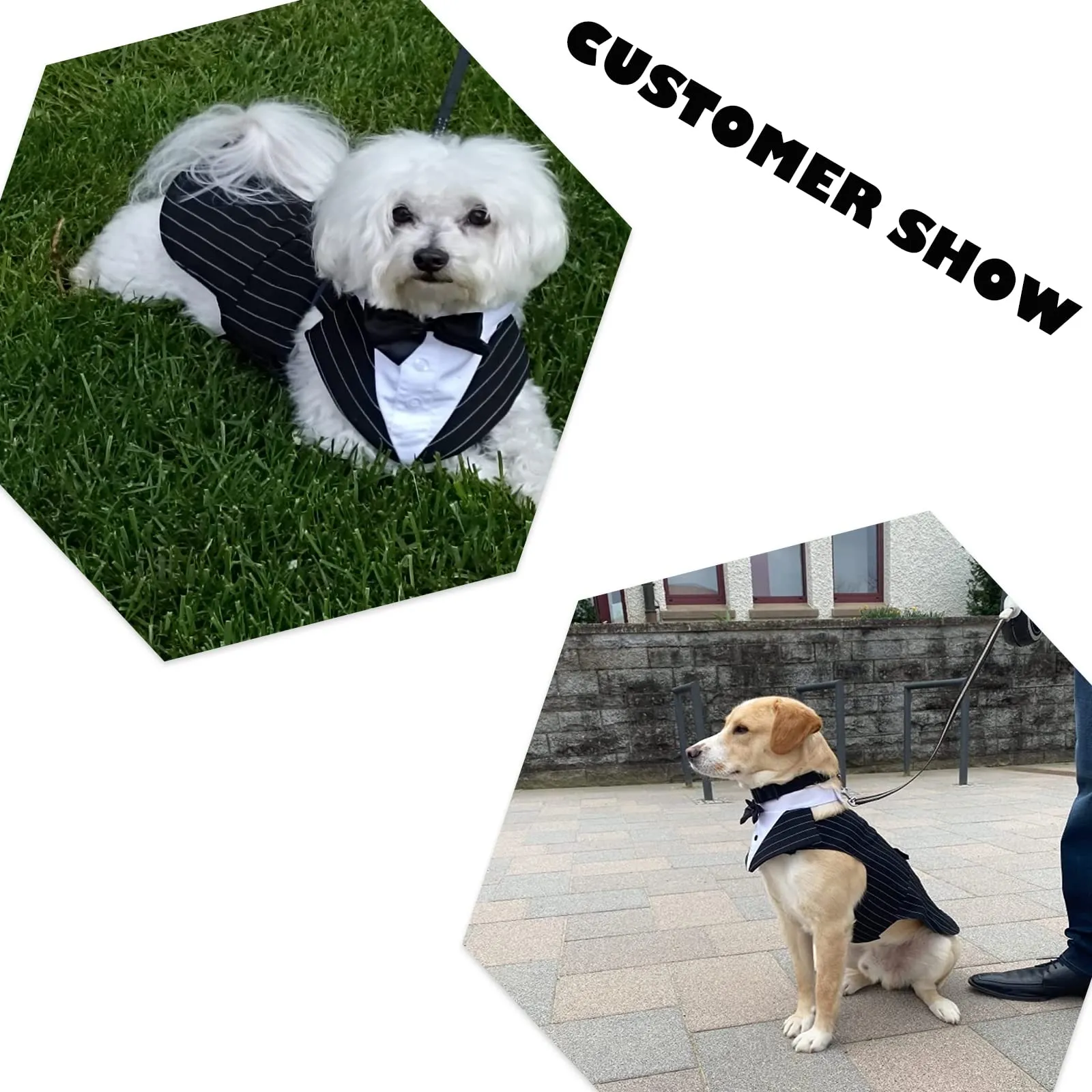PUMYPOREITY Smoking per Cani, Vestito Cerimonia Elegante Righe Nero, L - immagine 7