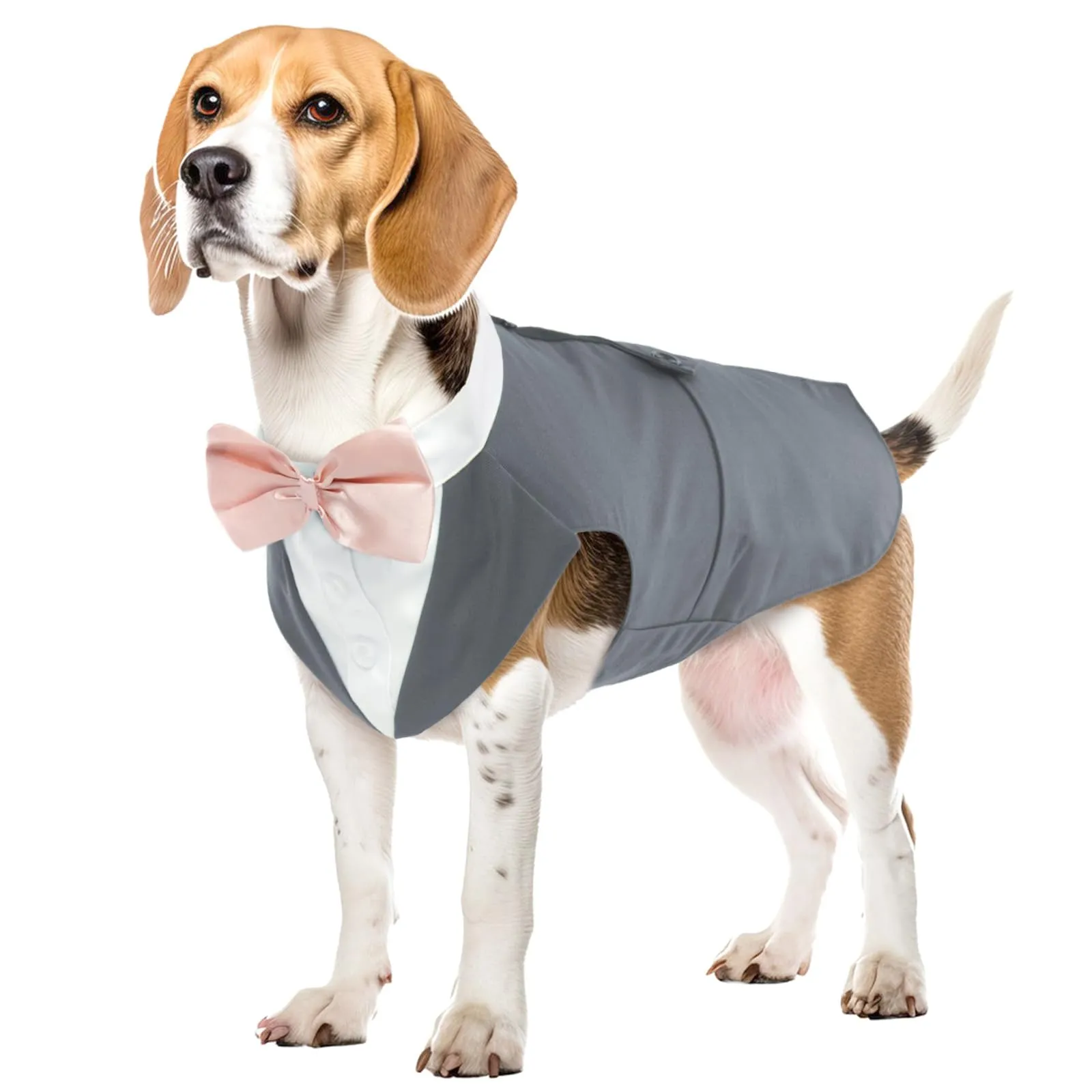 PUMYPOREITY Smoking per Cani Abito Formale Elegante, Grigio, L - immagine 1