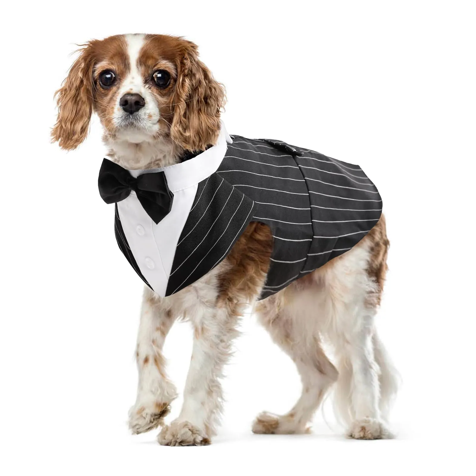 PUMYPOREITY Smoking per Cani con Papillon, Righe Nero, Taglia M - immagine 1