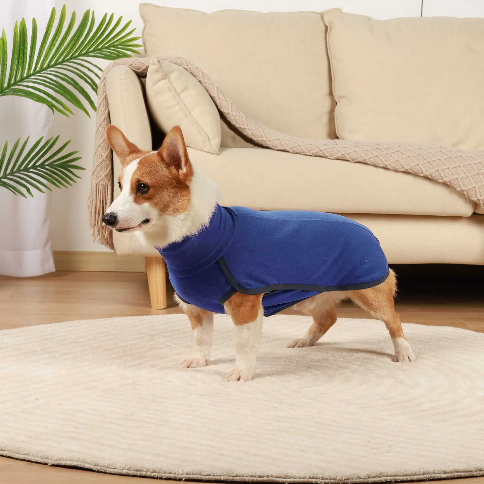Hjyokuso Cappotto in Pile per Cani - Blu L - immagine 5