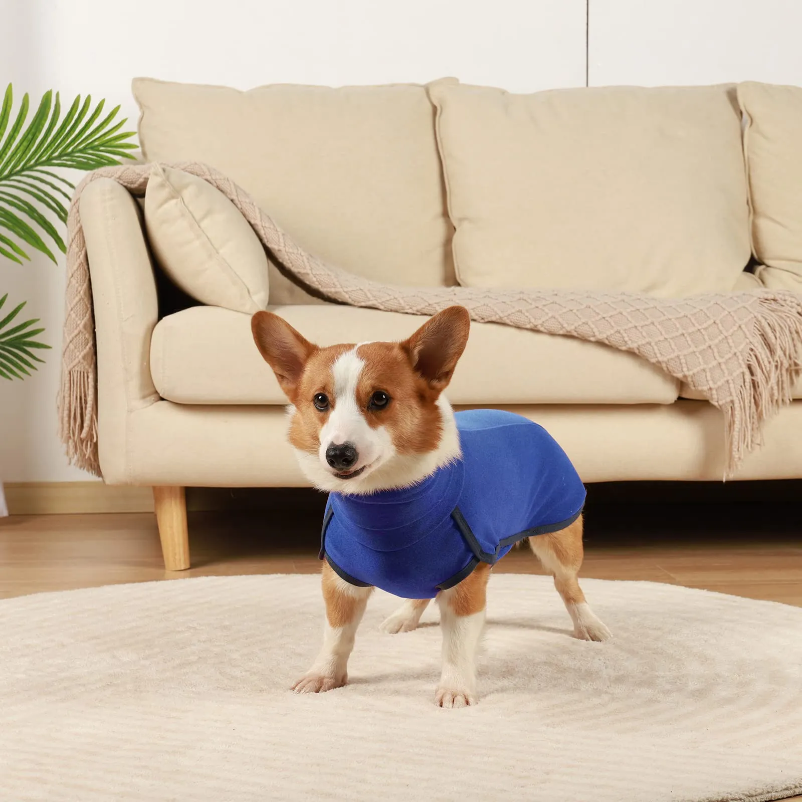 Hjyokuso Cappotto in Pile per Cani - Blu S - immagine 6