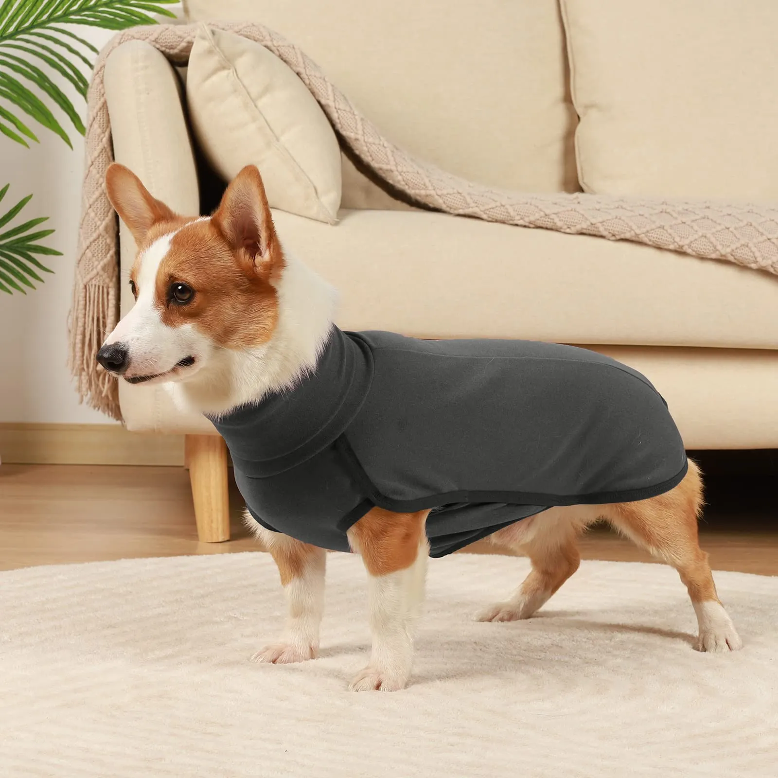 Hjyokuso Cappotto in Pile per Cani, Nero, Taglia S - immagine 5