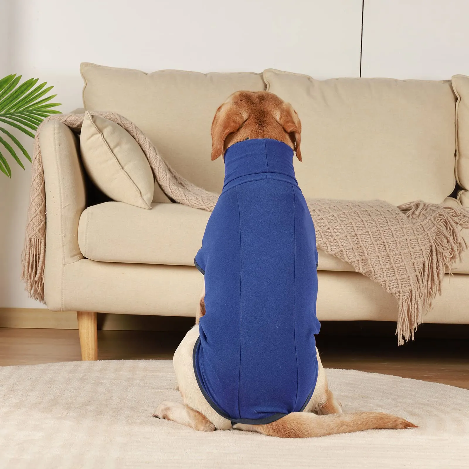 Hjyokuso Cappotto in Pile per Cane - Blu, XS - immagine 7