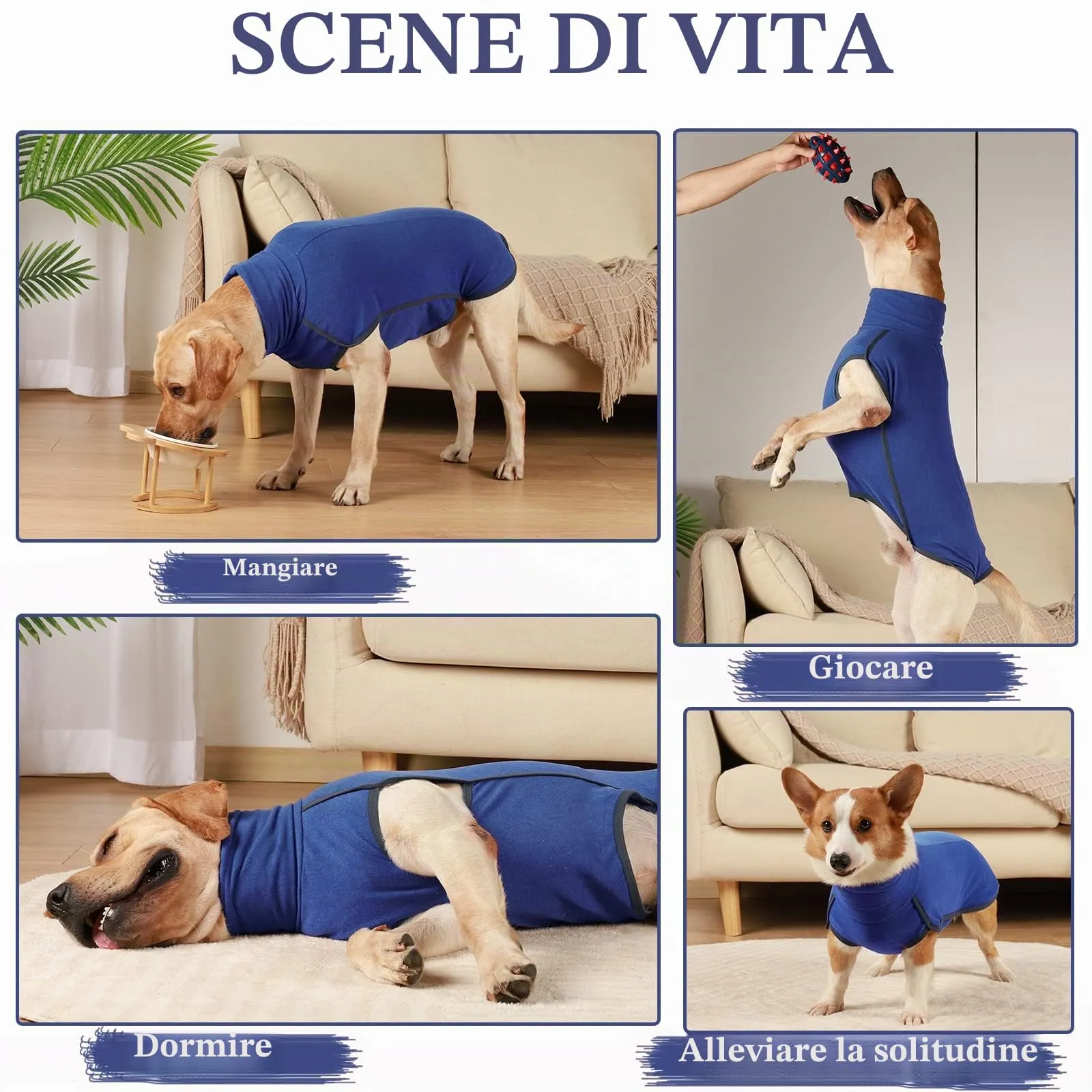 Hjyokuso Maglione in pile per cani (blu, M) - immagine 4