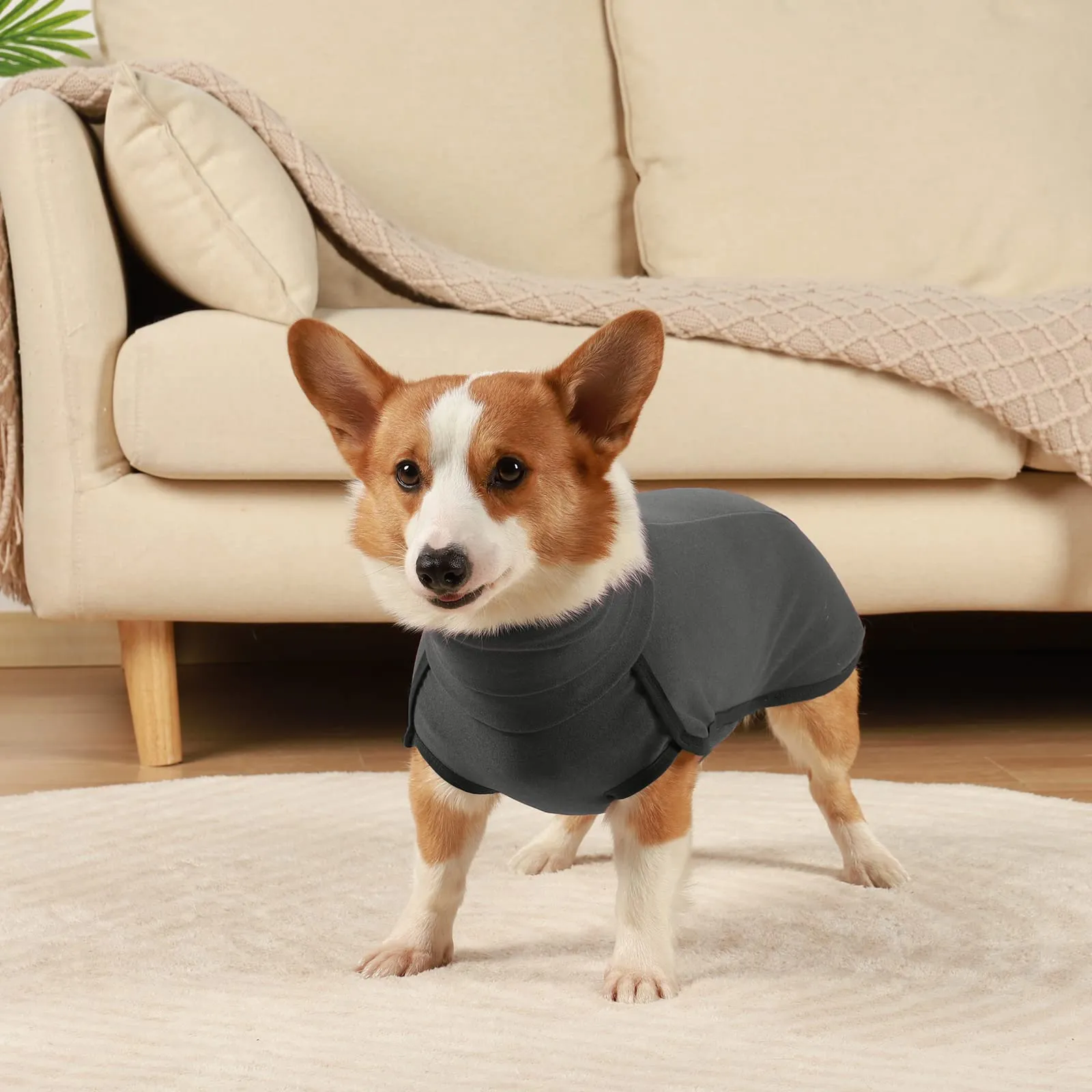 Hjyokuso Cappotto in Pile per Cani - Nero XS - immagine 6
