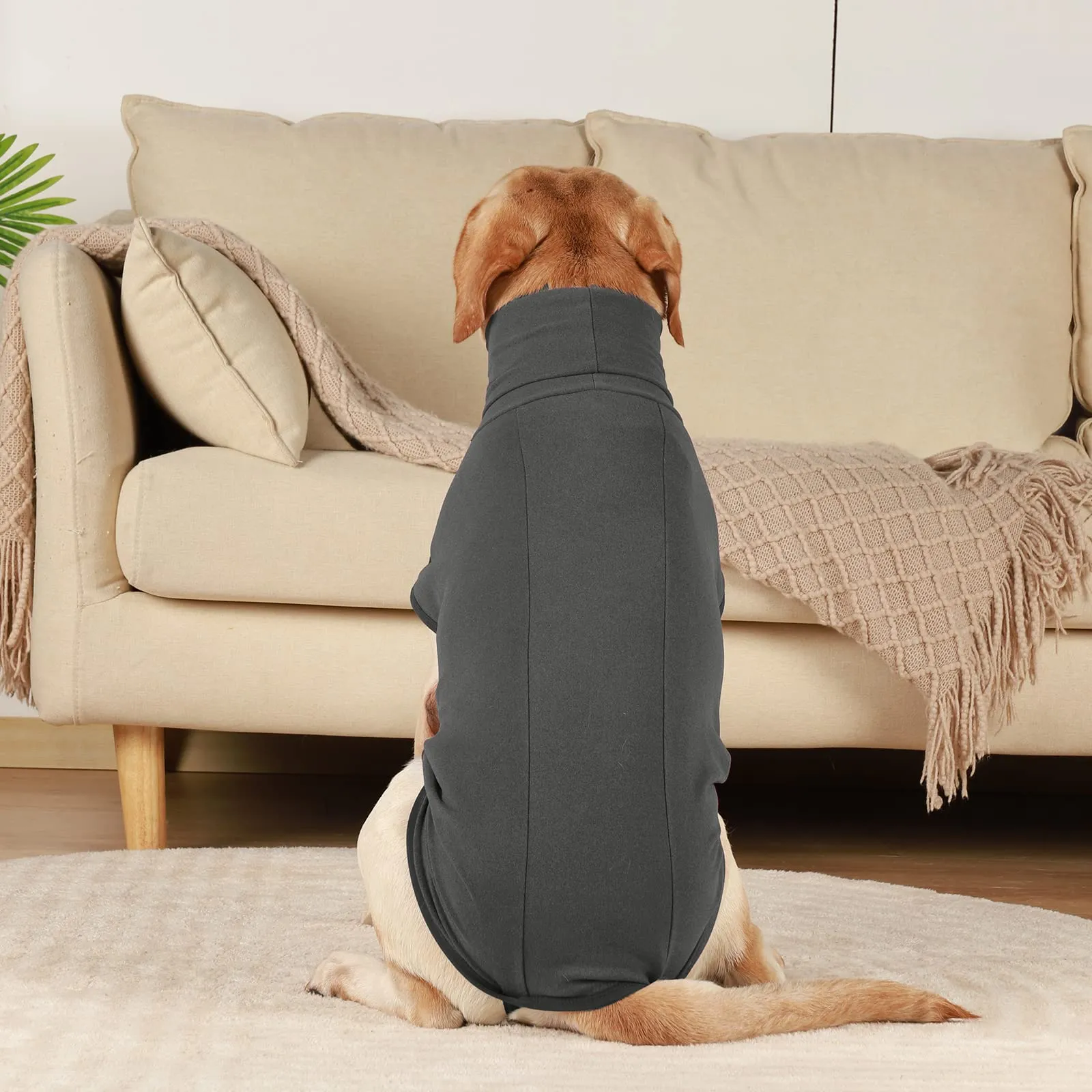 Hjyokuso Cappotto in Pile per Cani - Nero M - immagine 7