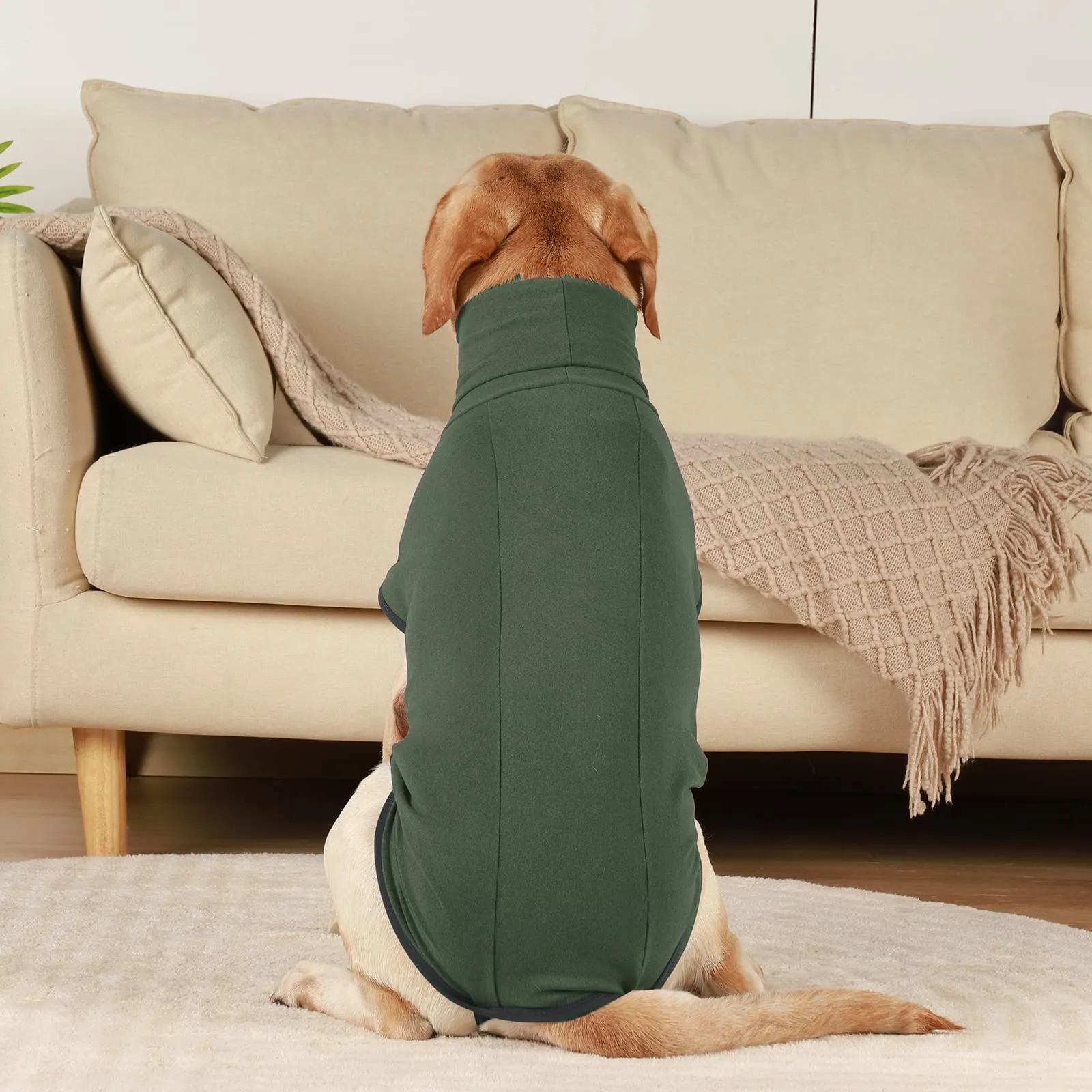 Hjyokuso Cappotto in Pile per Cani - Verde XL - immagine 7