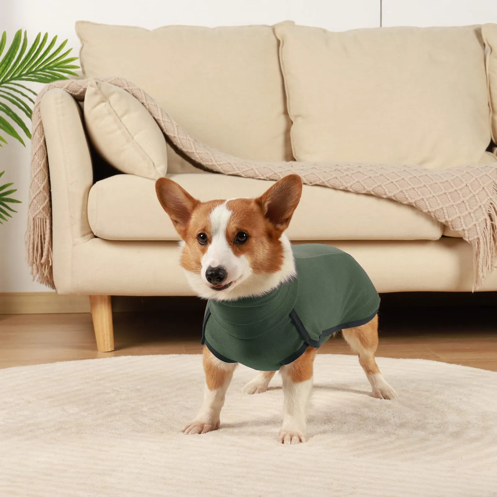 Hjyokuso Cappotto in Pile per Cani - Verde M - immagine 6