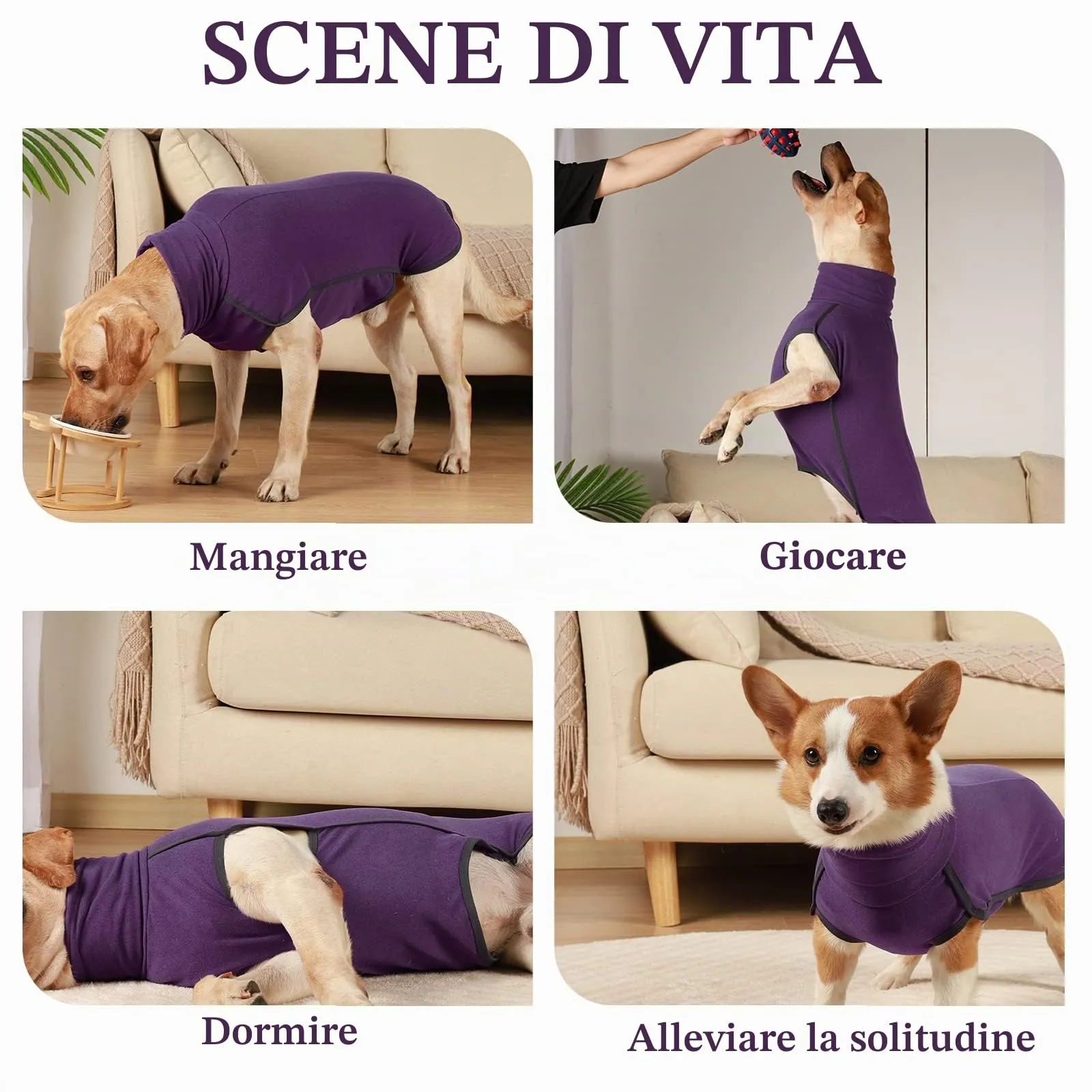 Hjyokuso Cappotto in Pile per Cani, Viola 2XL - immagine 4