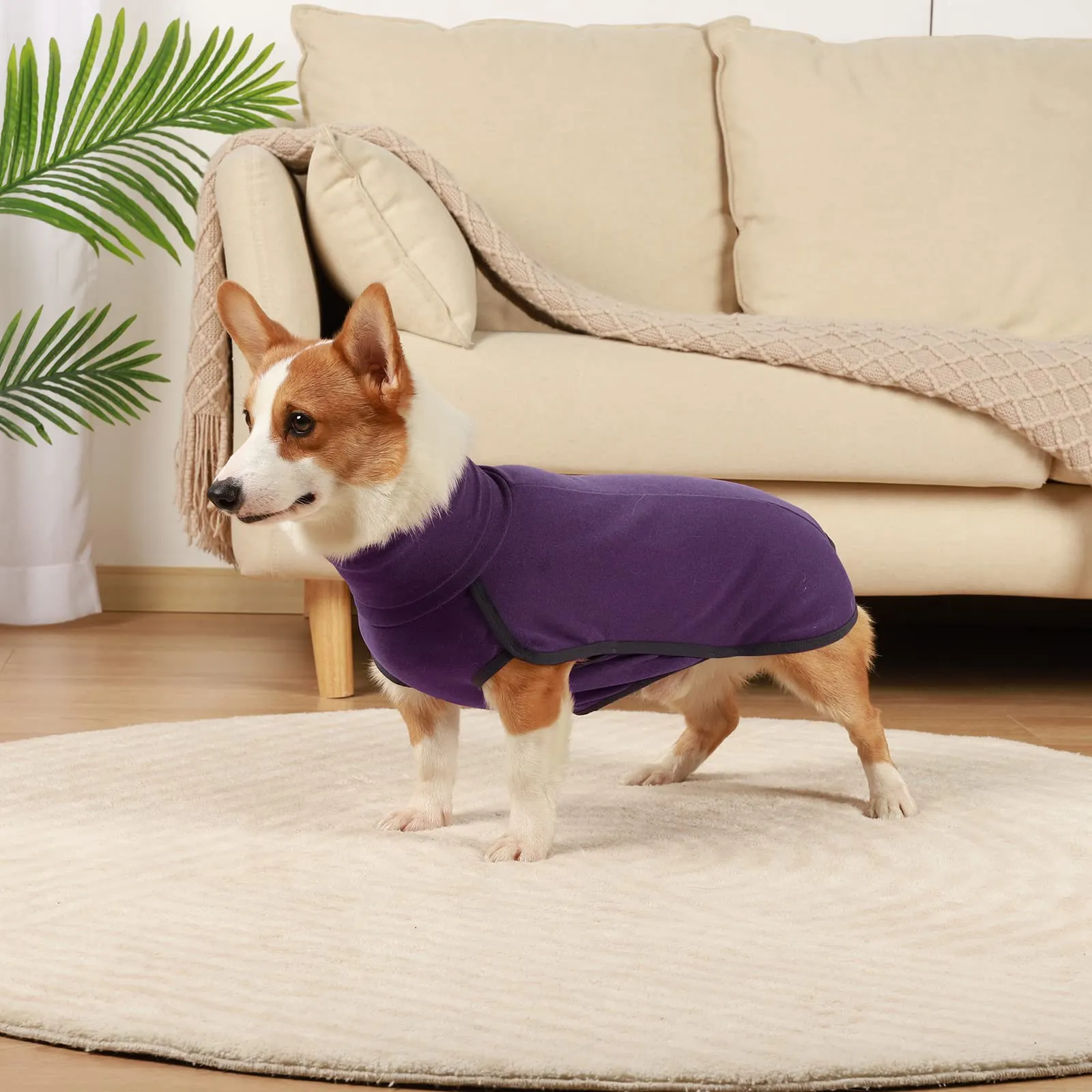 Hjyokuso Cappotto in Pile per Cani, Viola 2XL - immagine 5