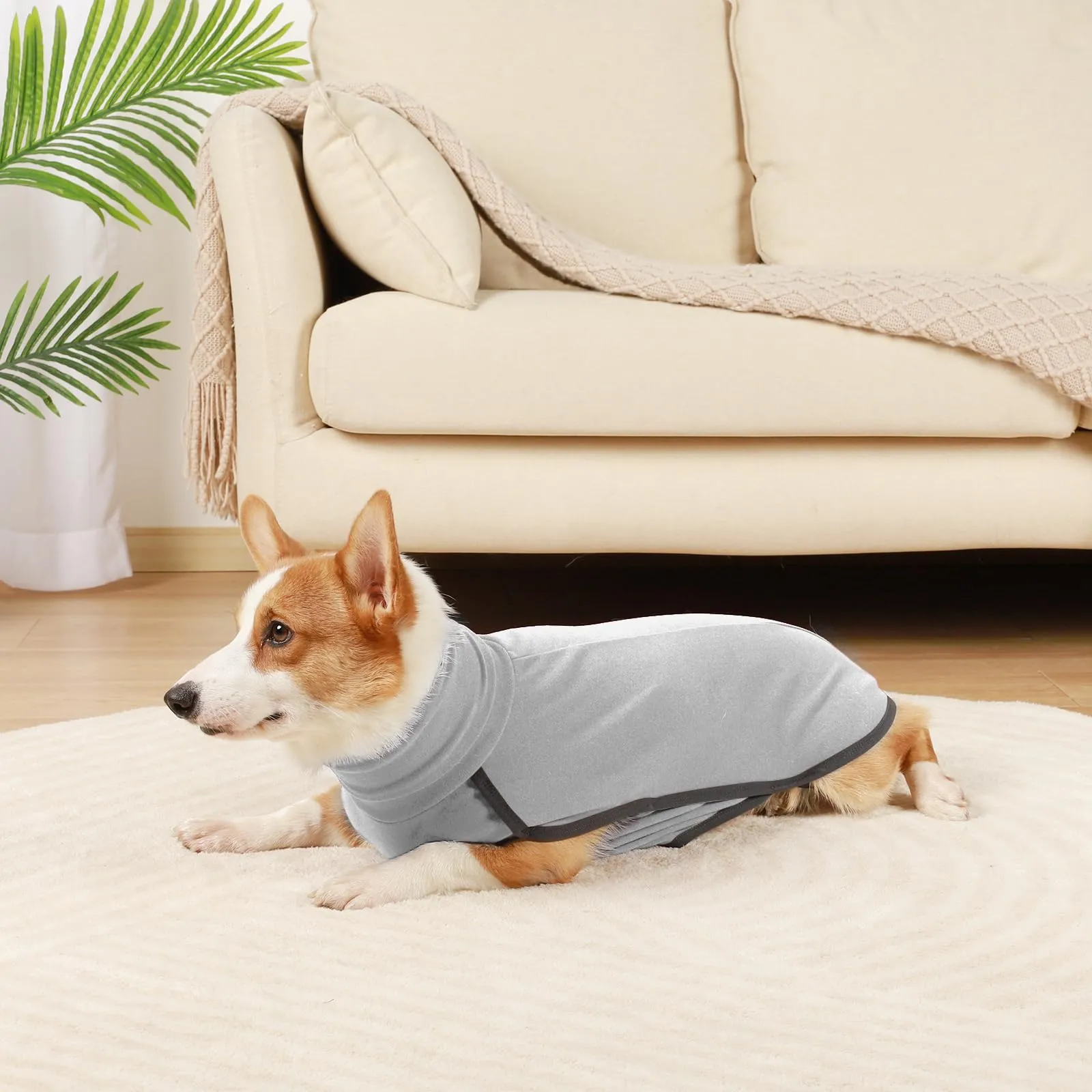 Hjyokuso Cappotto in Pile per Cani, Maglione Caldo e Morbido, XXS-XXXL - immagine 5