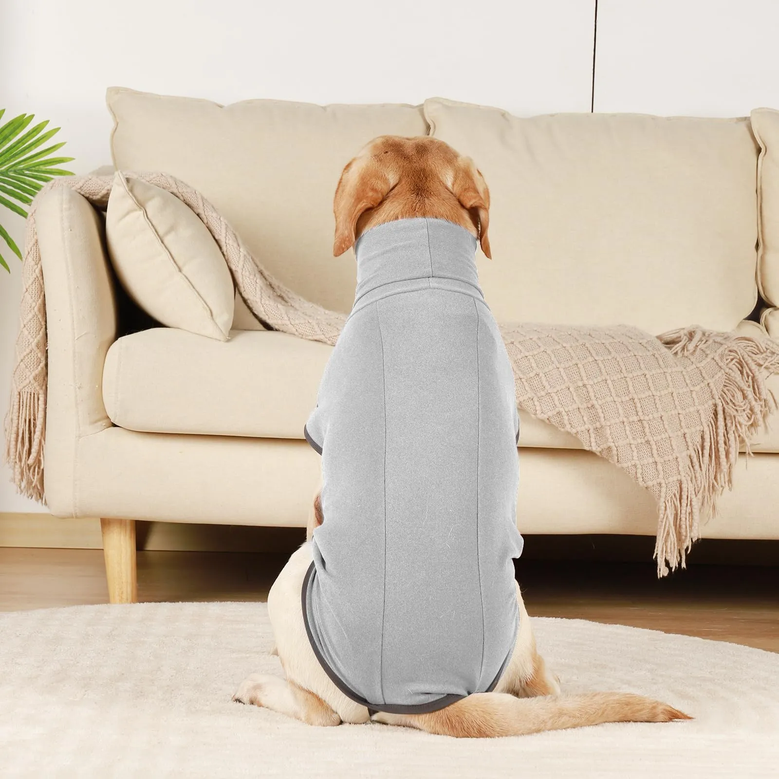 Hjyokuso Cappotto in Pile per Cani, Maglione Caldo e Morbido, XXS-XXXL - immagine 7
