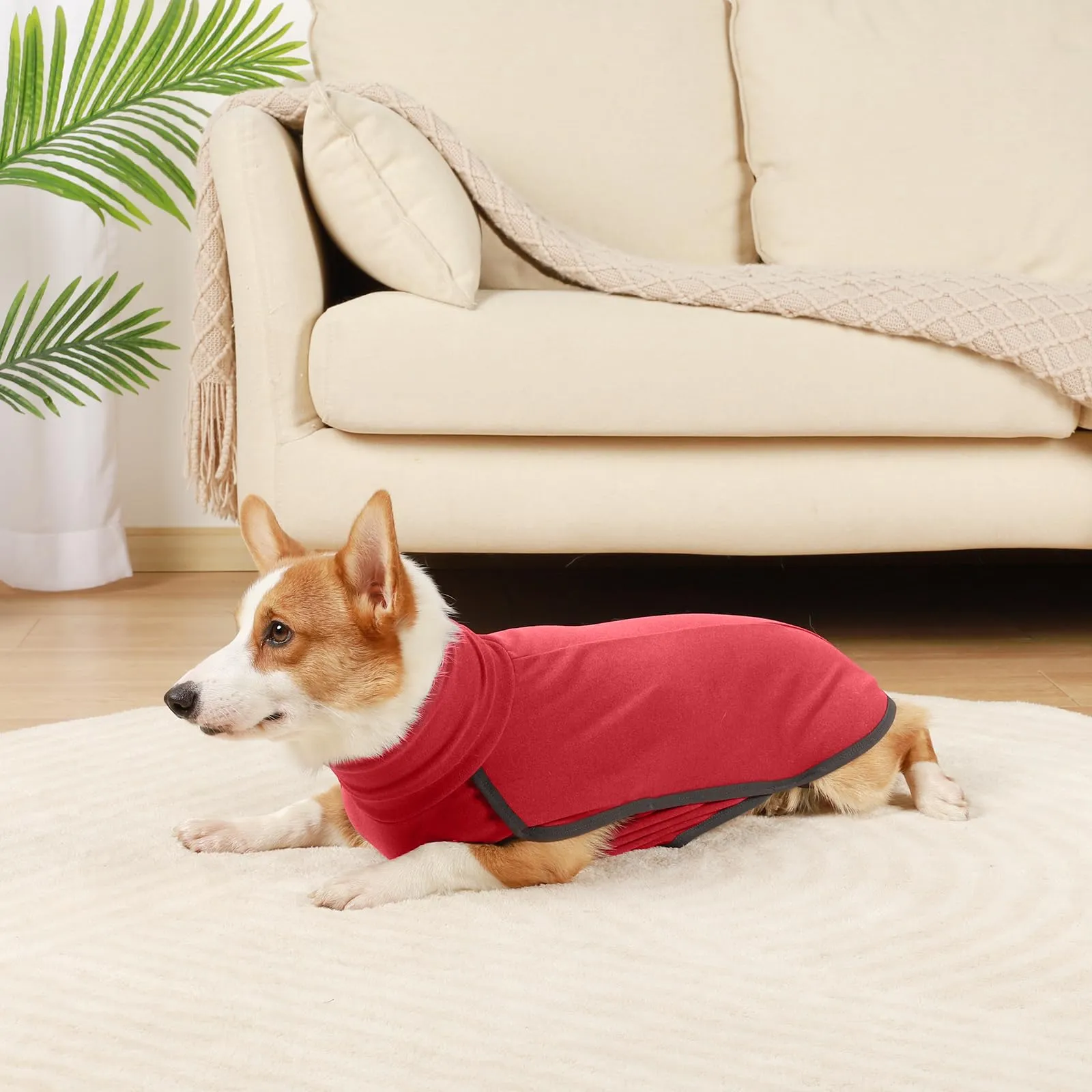Hjyokuso Cappotto in Pile per Cani, Felpa e Maglioncino Caldo, Rosso Brillante, Taglia L - immagine 5