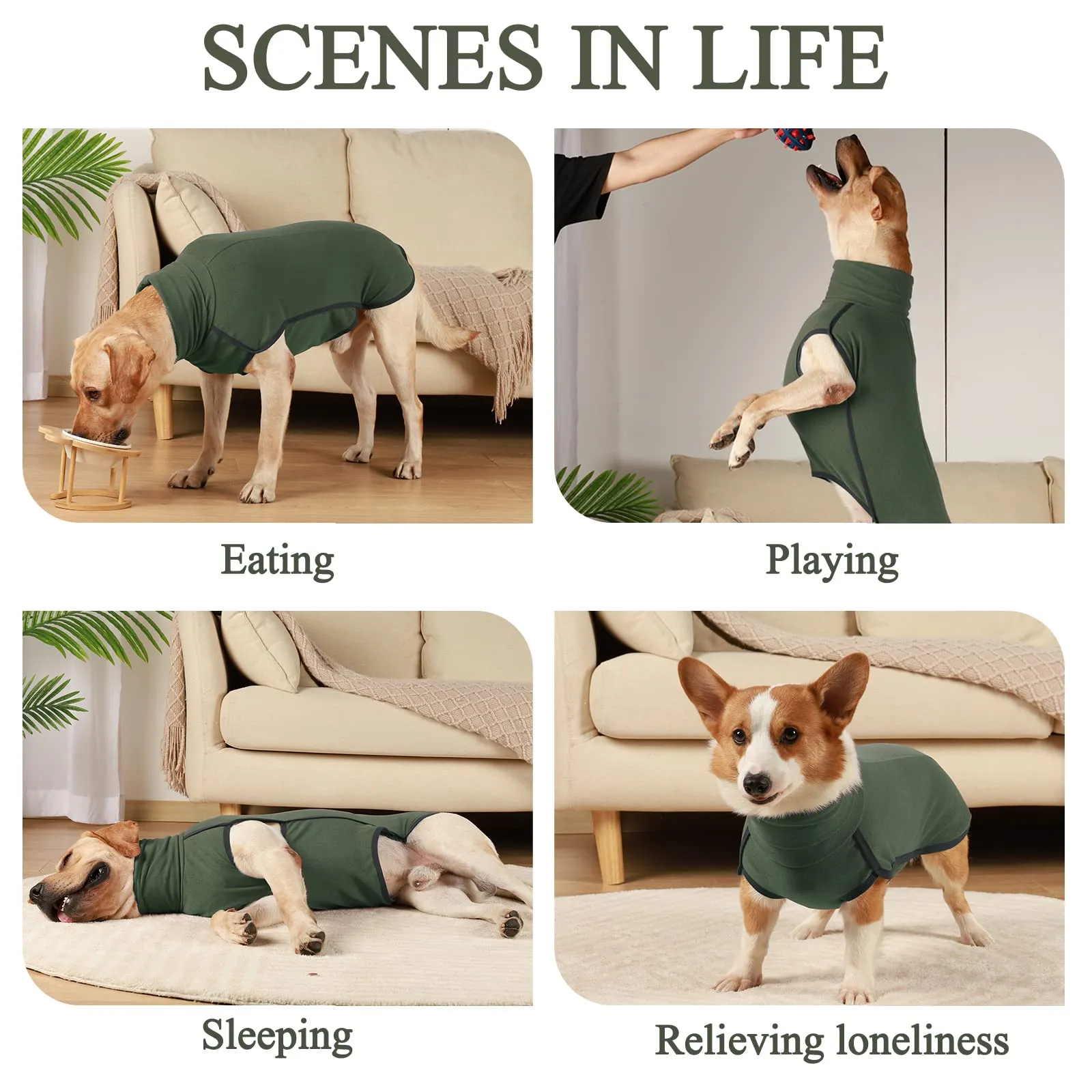 Hjyokuso Cappotto in Pile per Cane - Verde, XXS - immagine 4