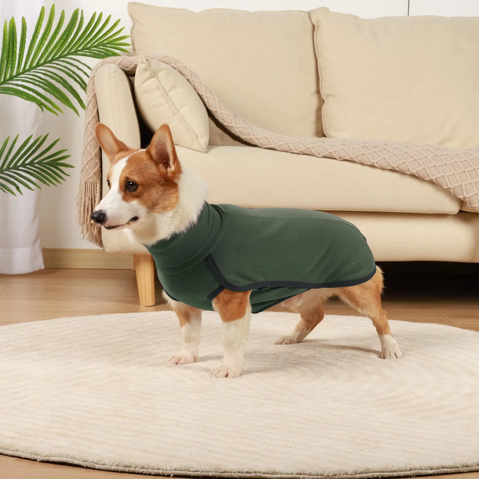 Hjyokuso Cappotto in Pile per Cane - Verde, XXS - immagine 5