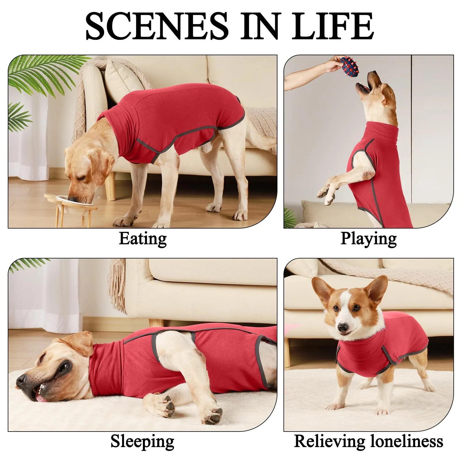 Hjyokuso Cappotto in Pile per Cani, Felpa e Maglioncino Caldo, XXS-XXXL - immagine 3