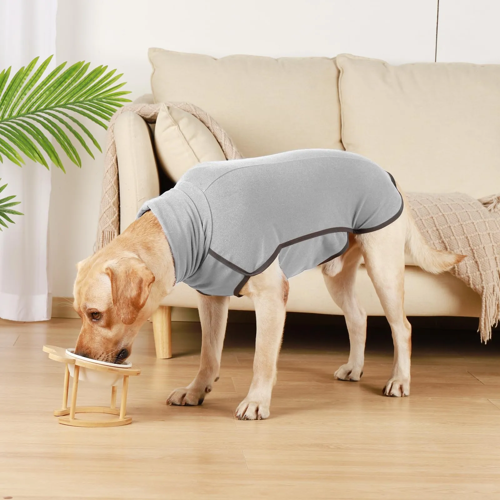 Hjyokuso Cappotto in Pile per Cani, Maglione Caldo Tinta Unita, Grigio, XXL - immagine 6