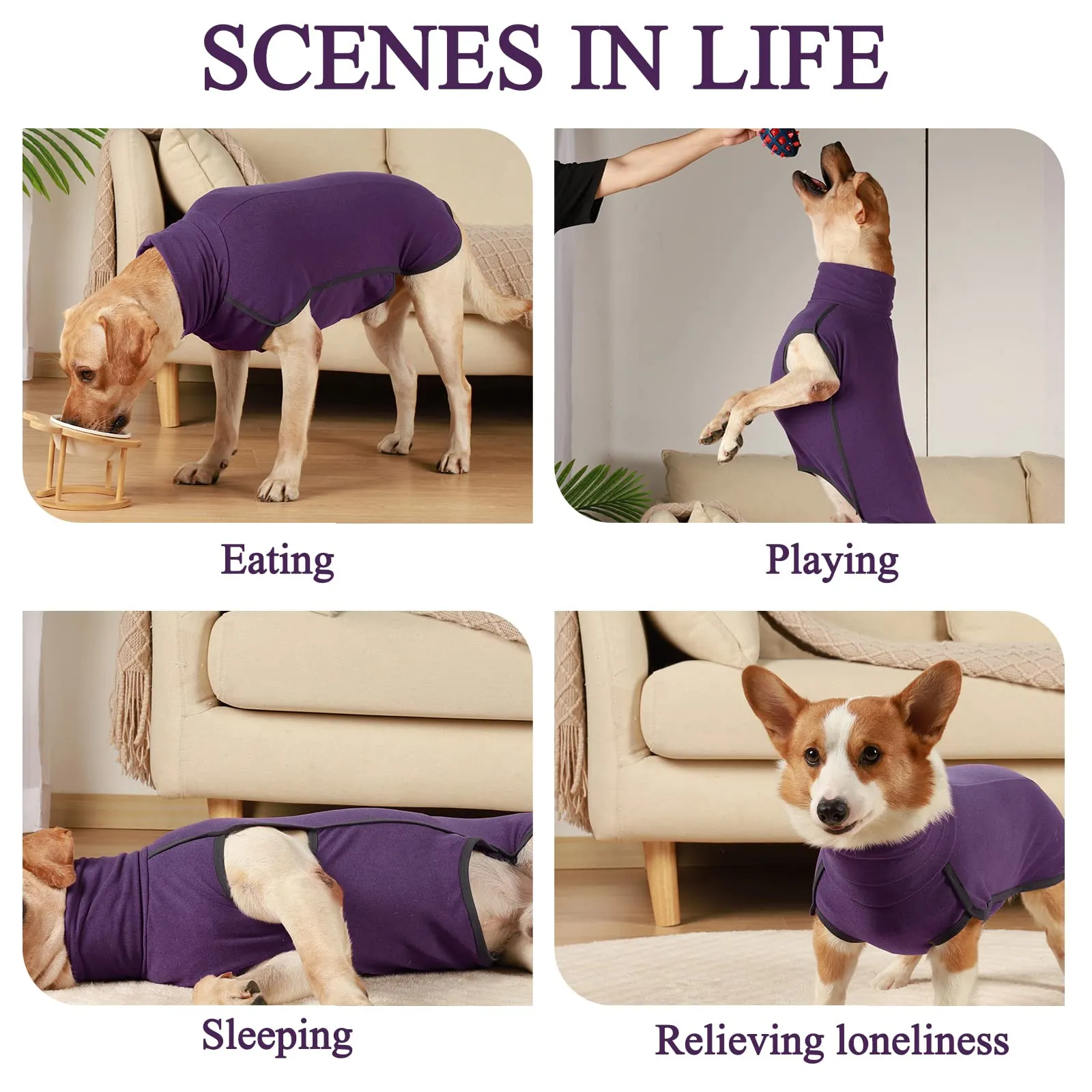 Hjyokuso Cappotto in Pile per Cani, Viola, XXS - immagine 4