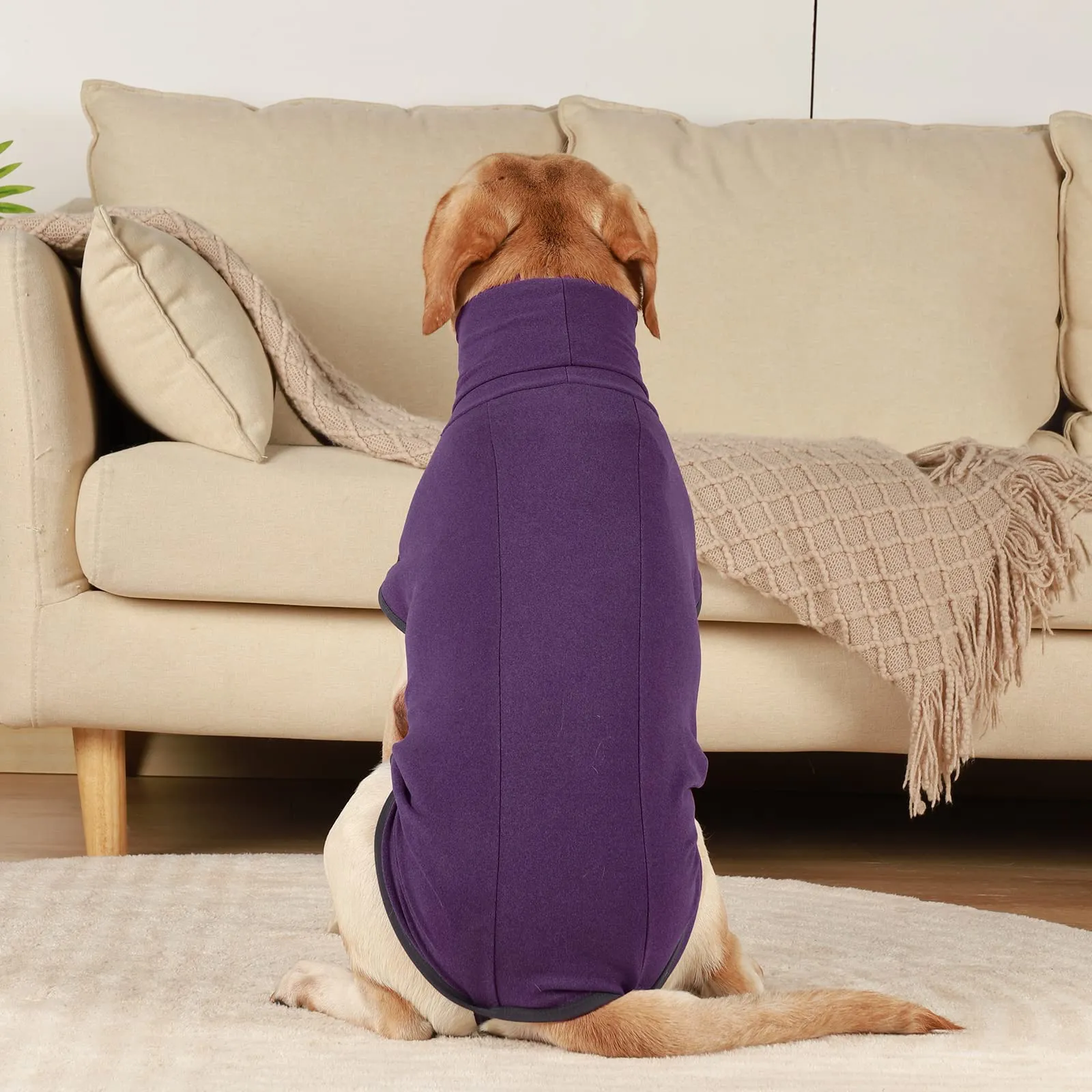 Hjyokuso Cappotto in Pile per Cani, Viola, XXS - immagine 7