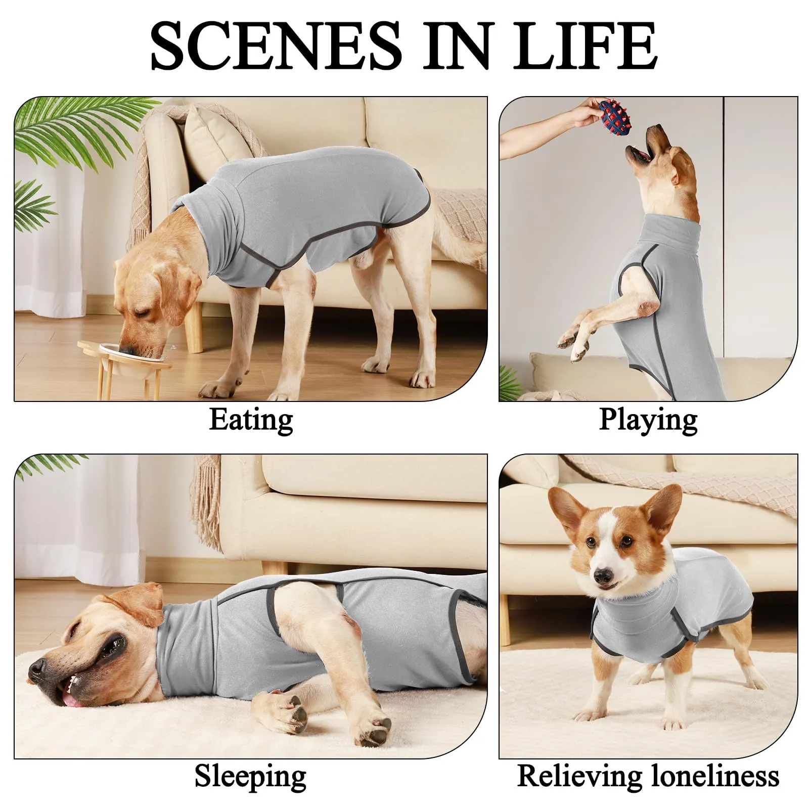 Hjyokuso Cappotto in Pile per Cani, Maglioncino Caldo e Morbido, XXS-XXXL - immagine 3