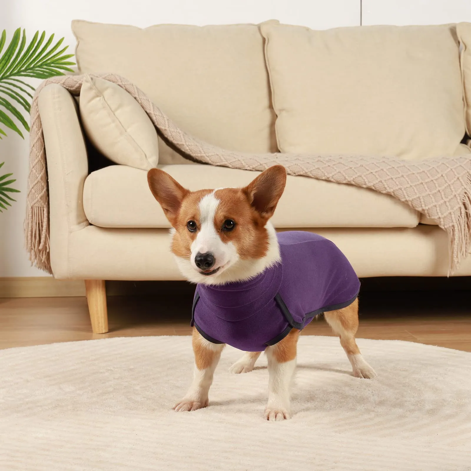 Hjyokuso Cappotto in Pile per Cane - Viola 3XL - immagine 5