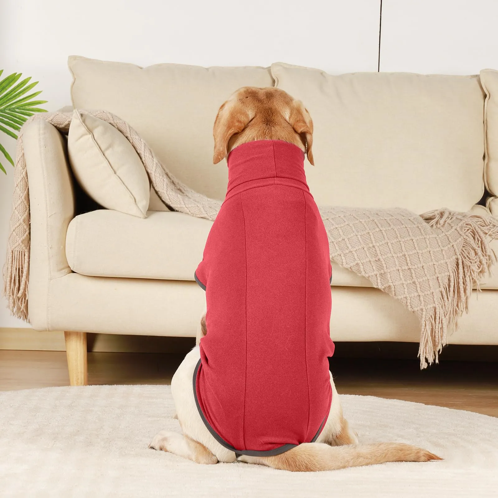 Hjyokuso Cappotto in Pile per Cani, Maglione Caldo e Morbido, XXS-XXXL - immagine 7
