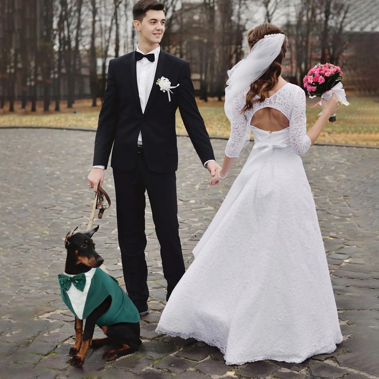 PUMYPOREITY Gilet Smoking per Cani con Papillon, Verde Scuro, S - immagine 5
