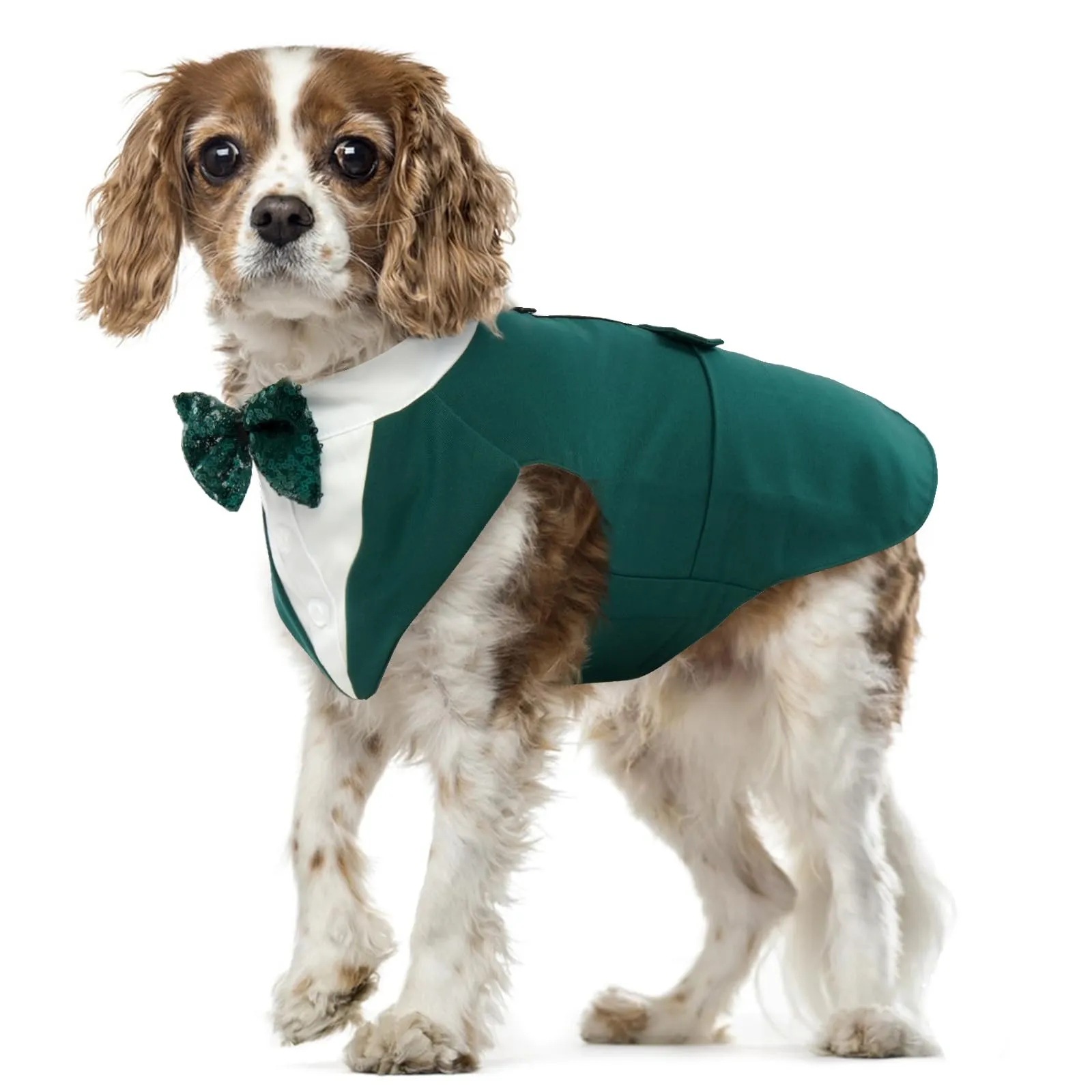 PUMYPOREITY Abito Smoking per Cani con Bandana, Verde Scuro, L - immagine 1